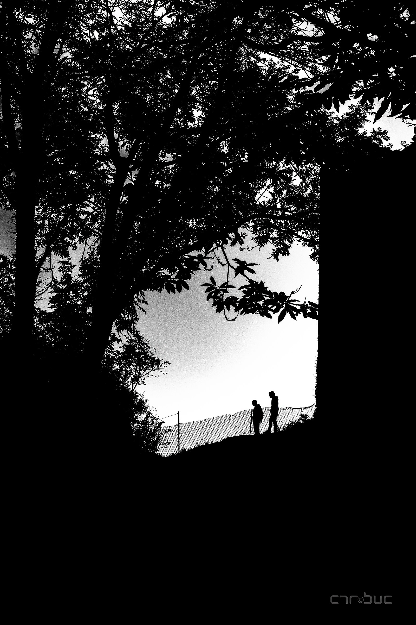 Ritornando verso casa...