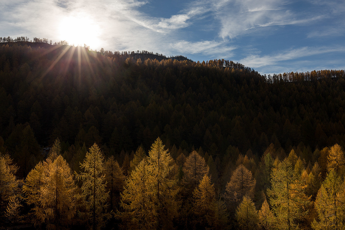 Check from the mountains