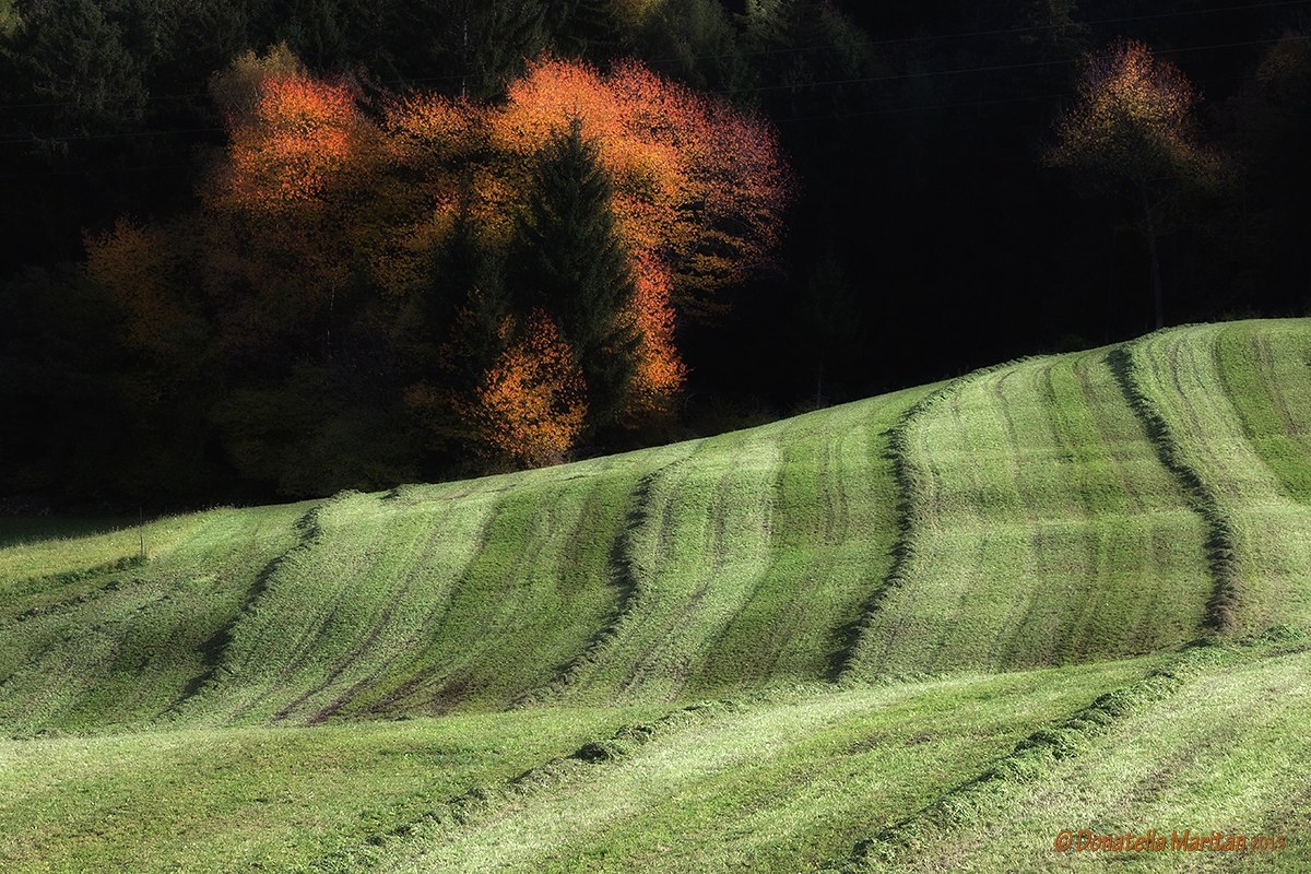 Impressioni d'autunno