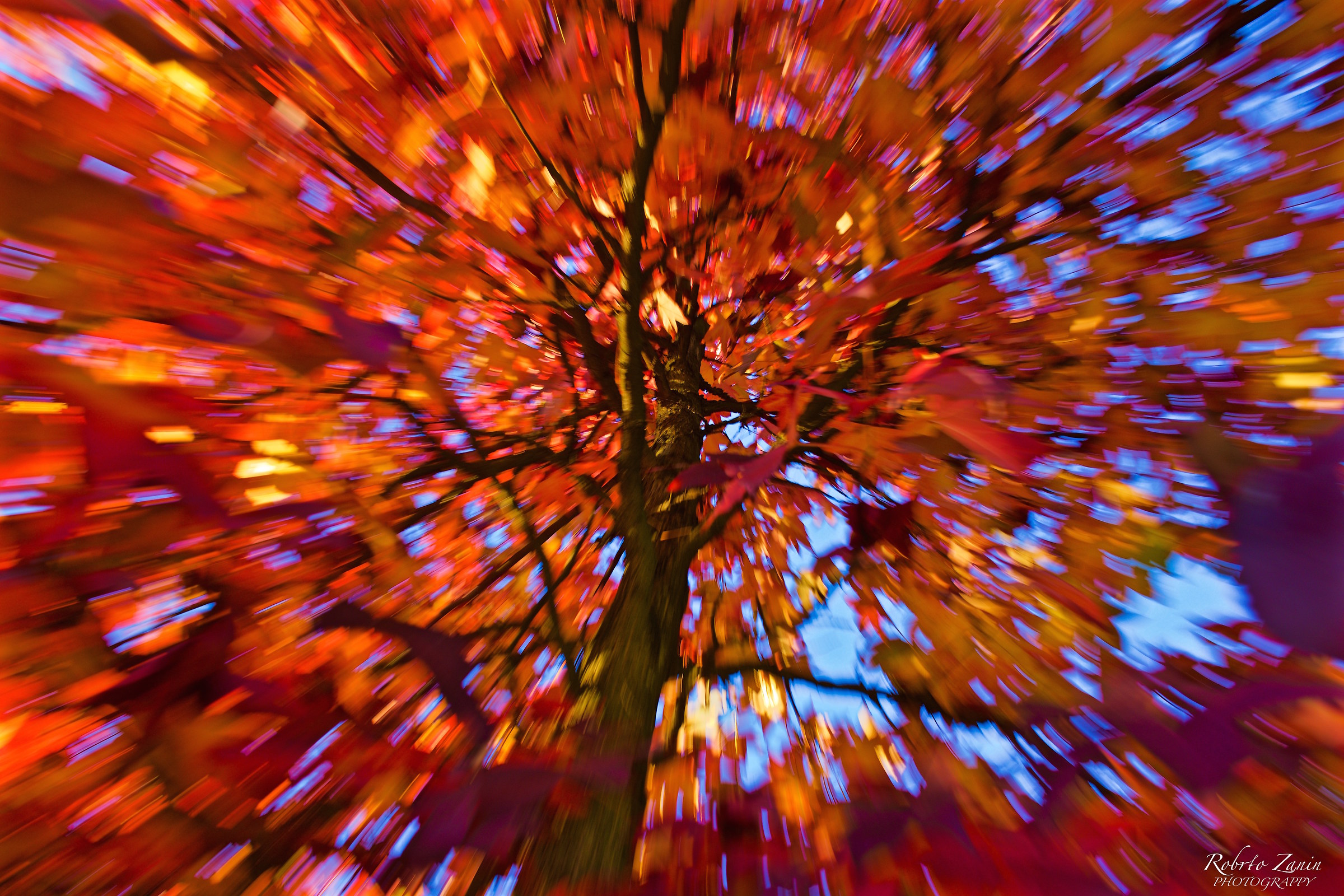 Autunno.......cadono le foglieee