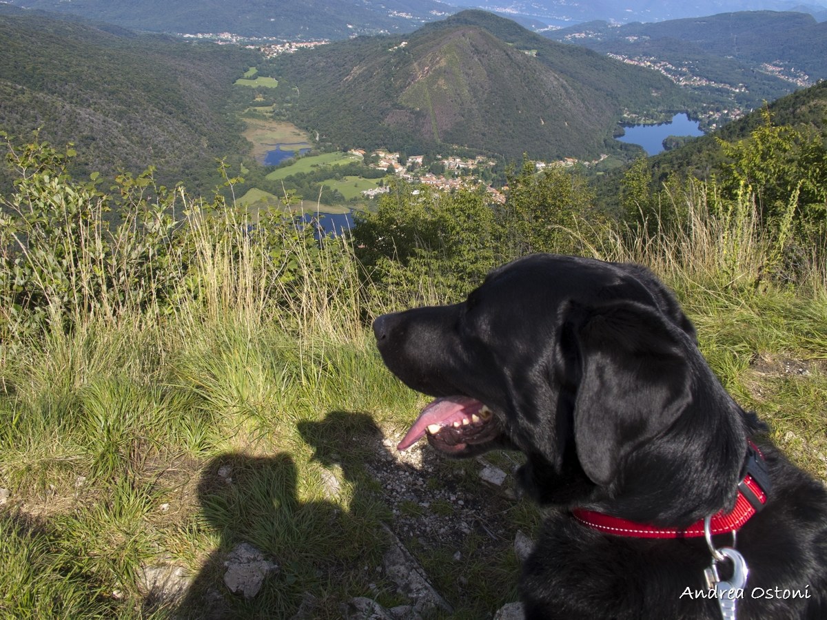 Mi godo il panorama