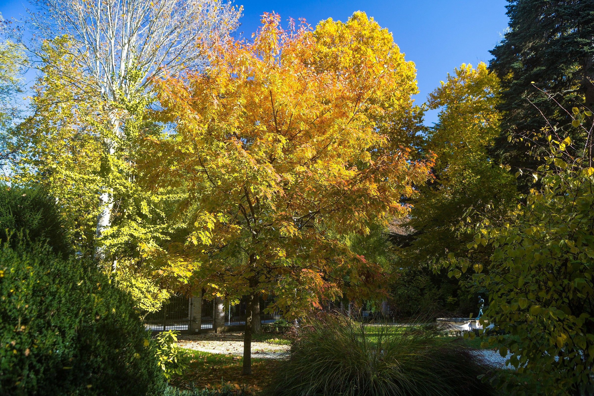 I colori dell'autunno