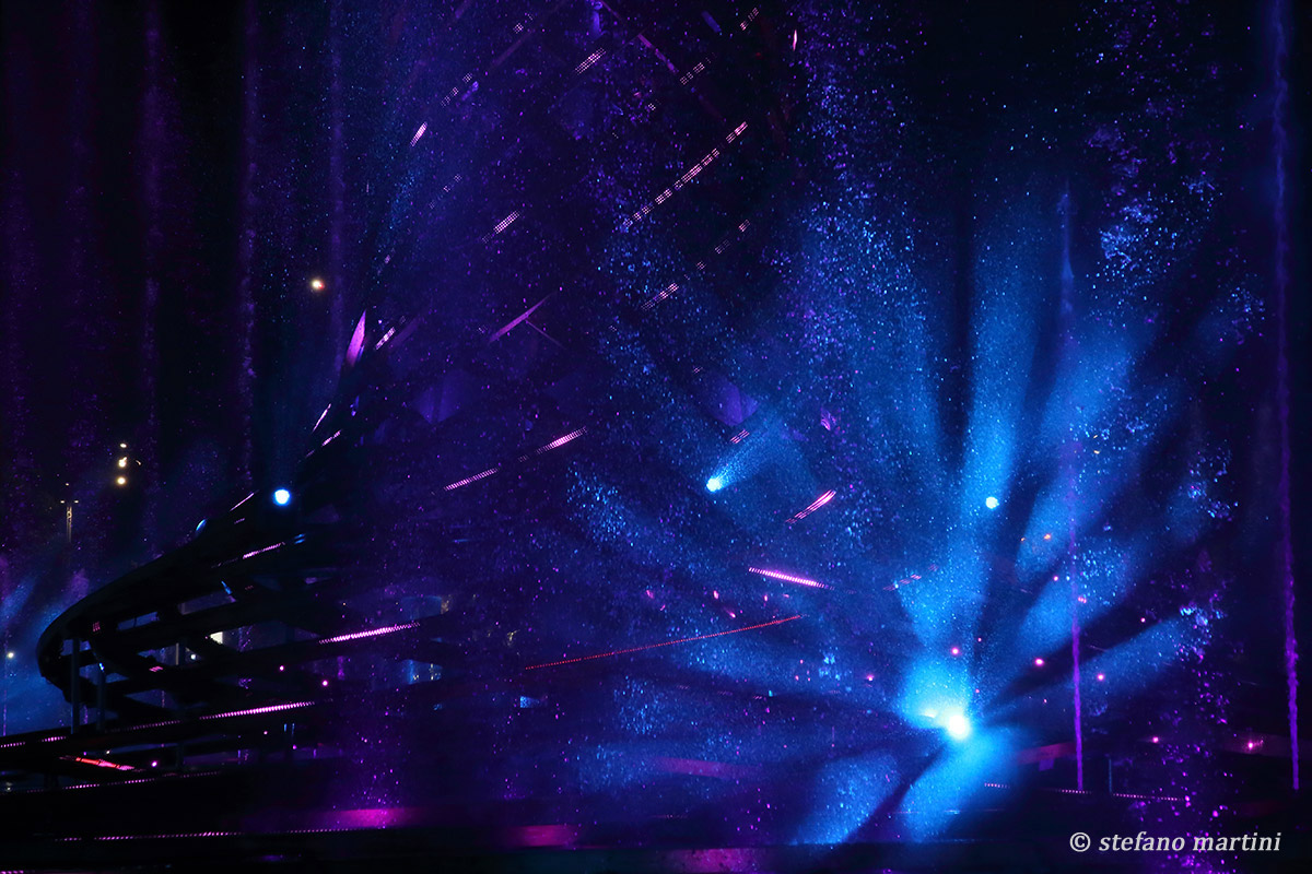 At the foot of the tree of life