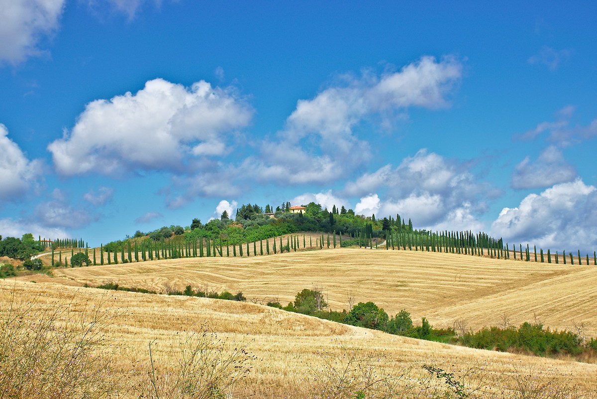 le colline toscane