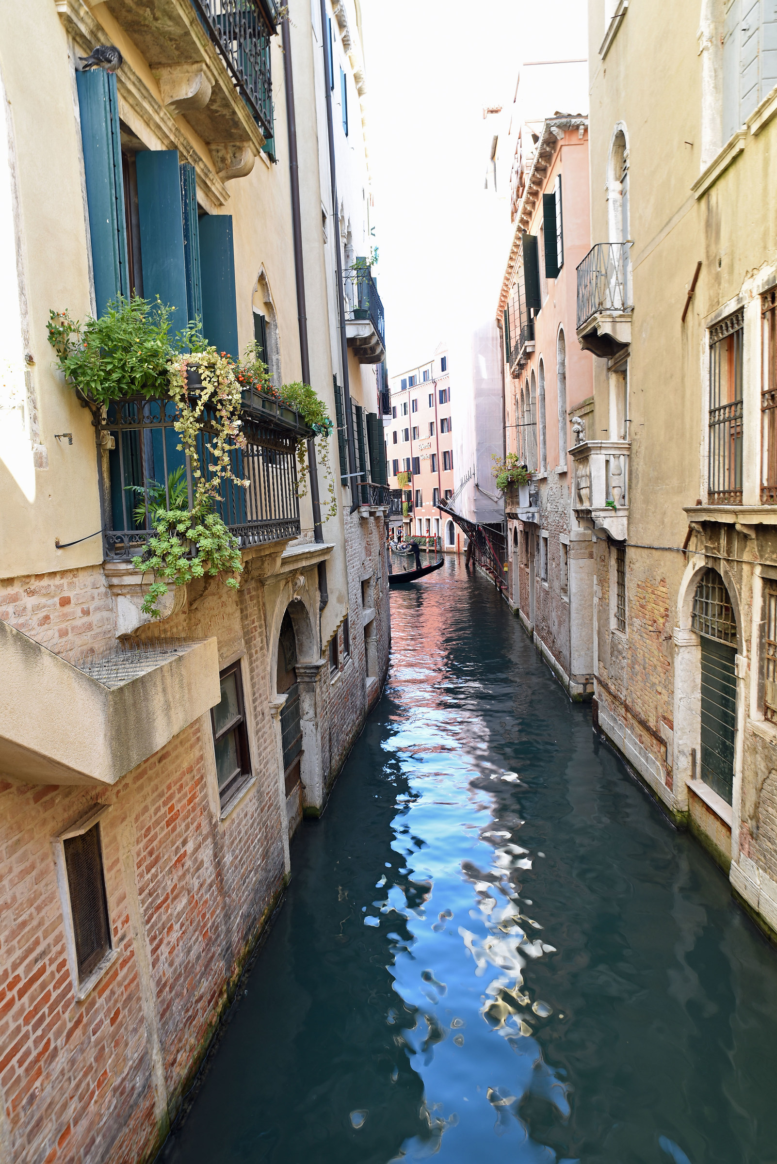 Foreshortening 1 Venice