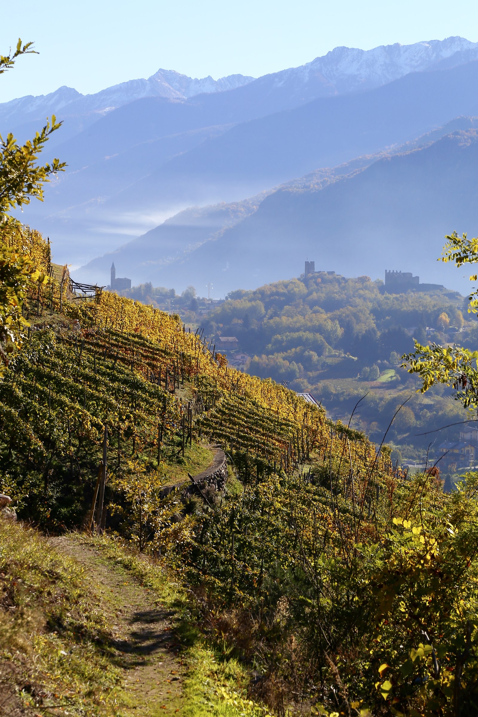 Sondrio,strada dei terrazzamenti