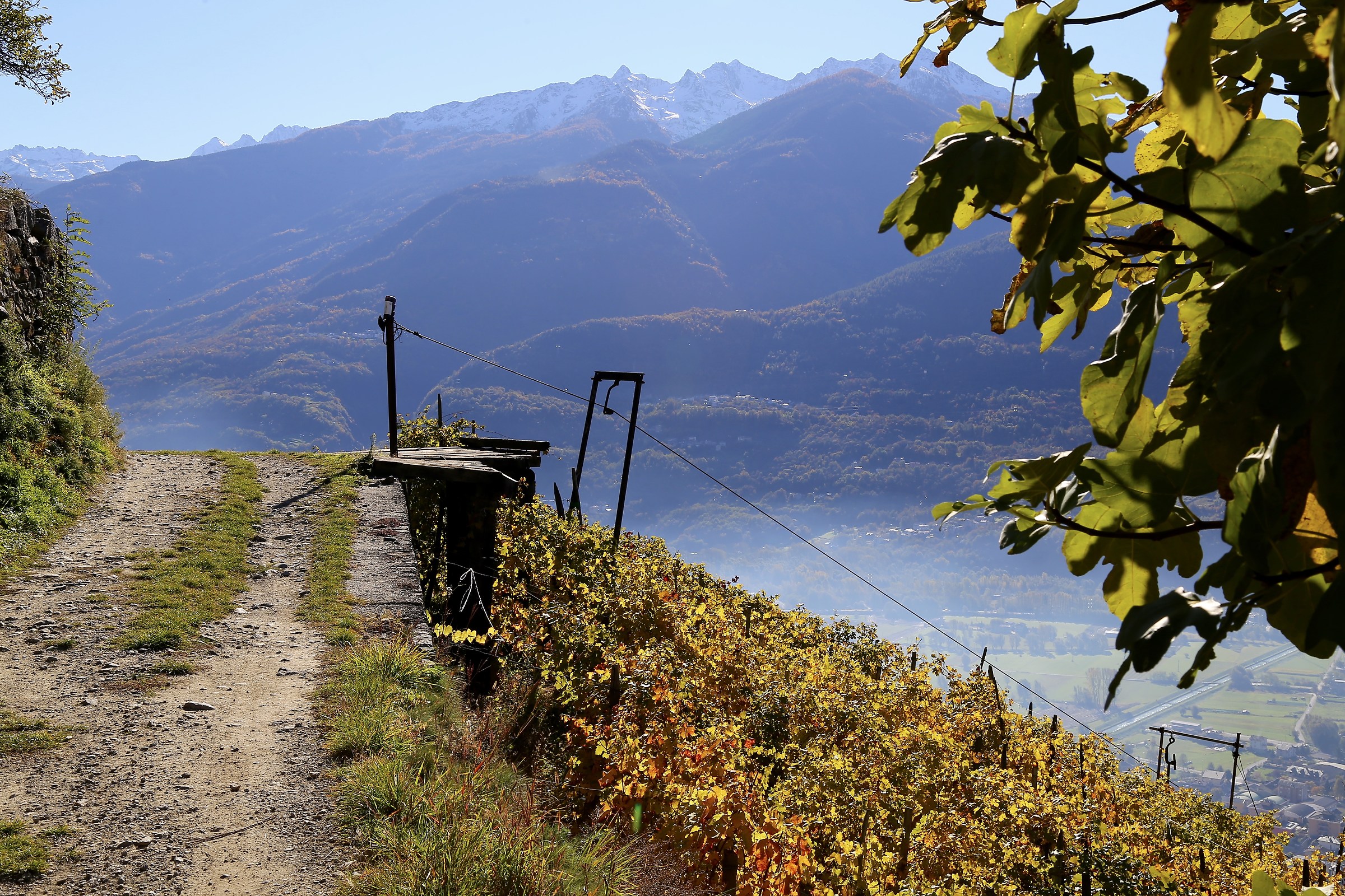 Sondrio,strada dei terrazzamenti
