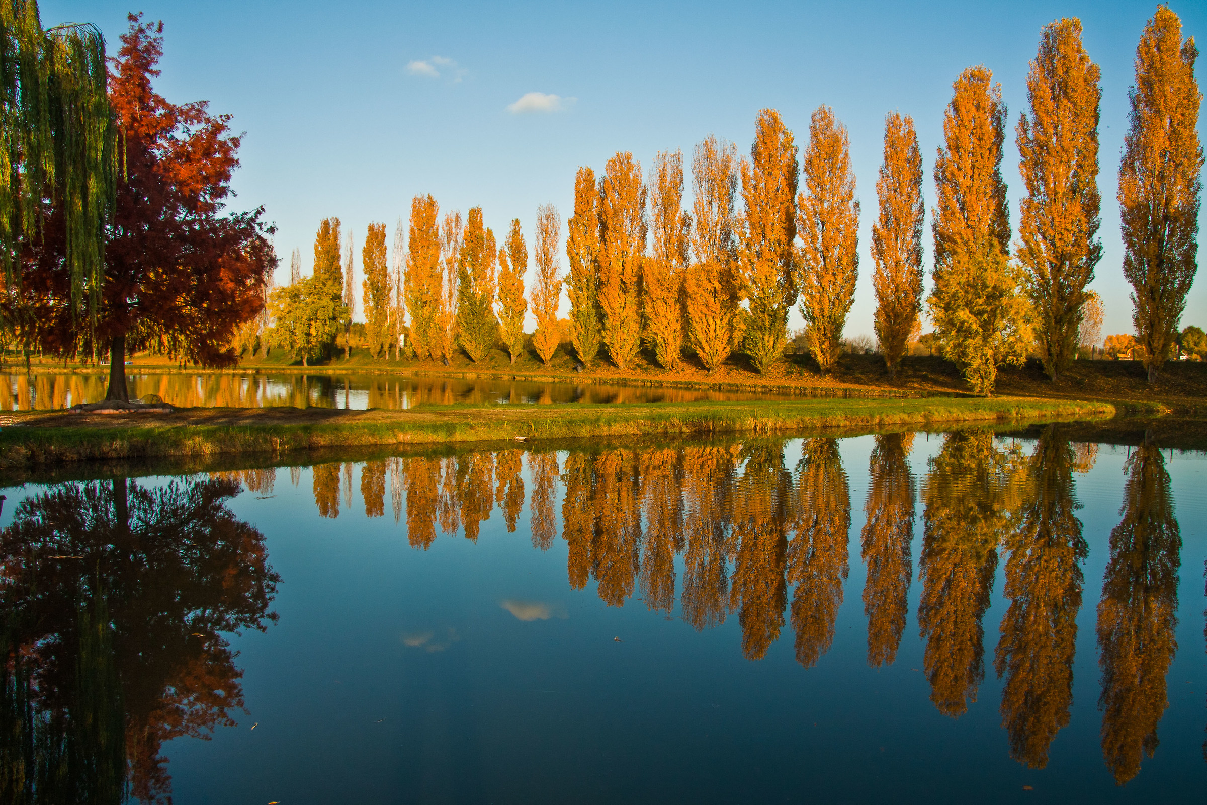 Prospettiva autunnale