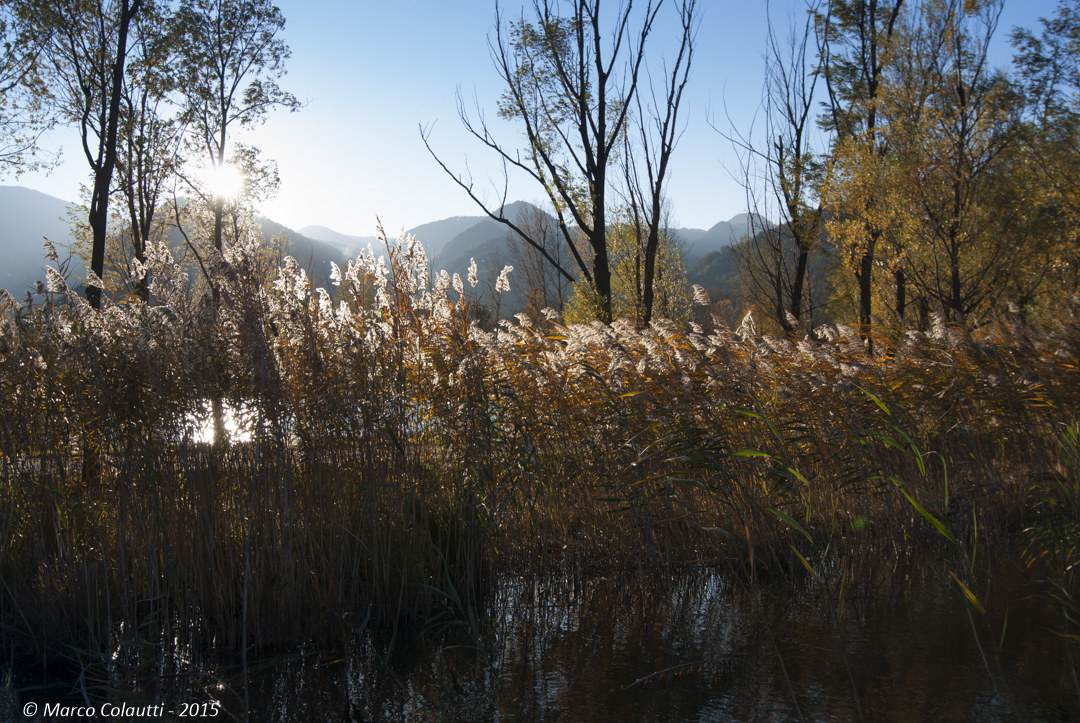 Lago di Cavazzo - Canneto