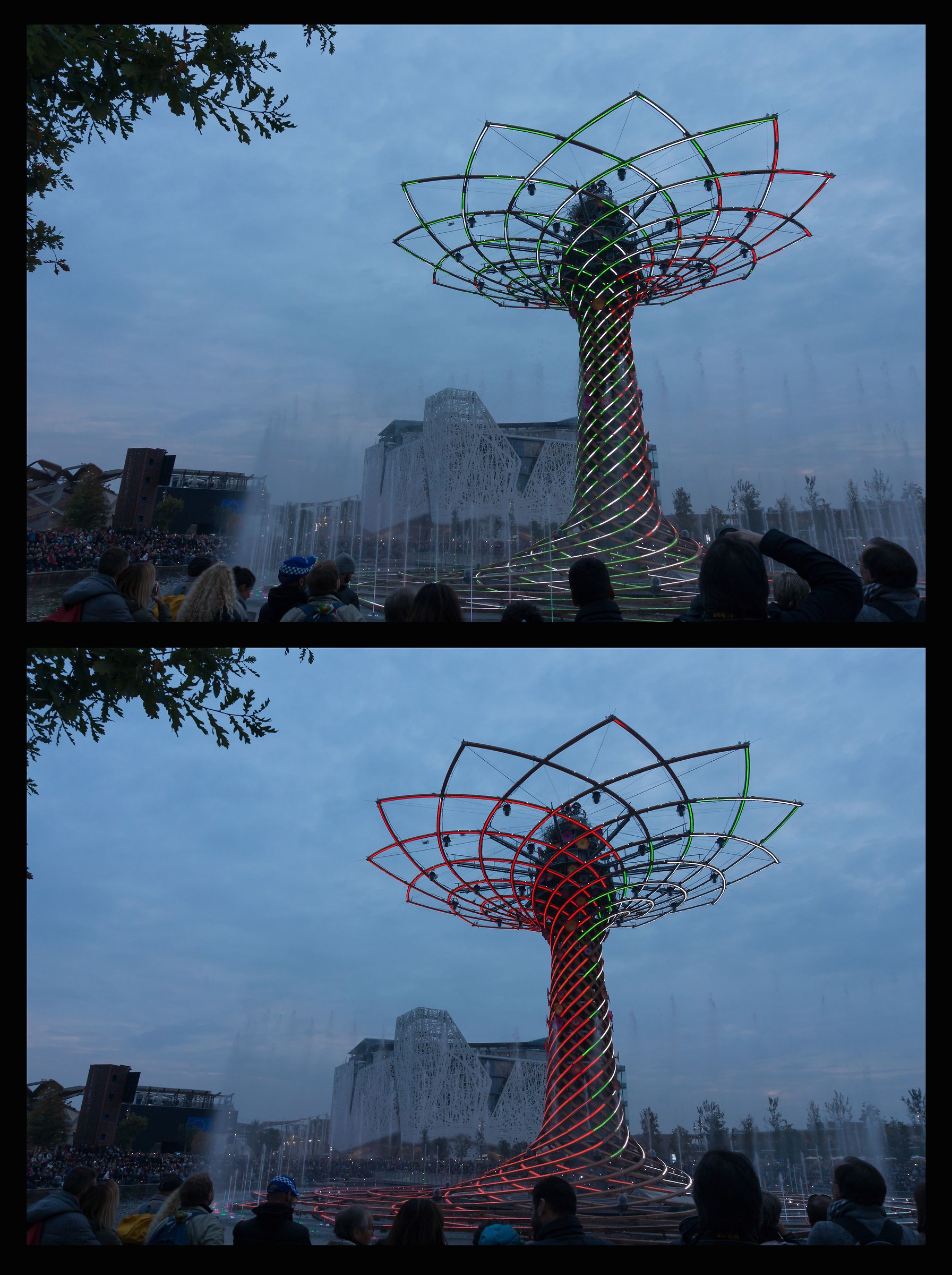 Expo - Tree of Life