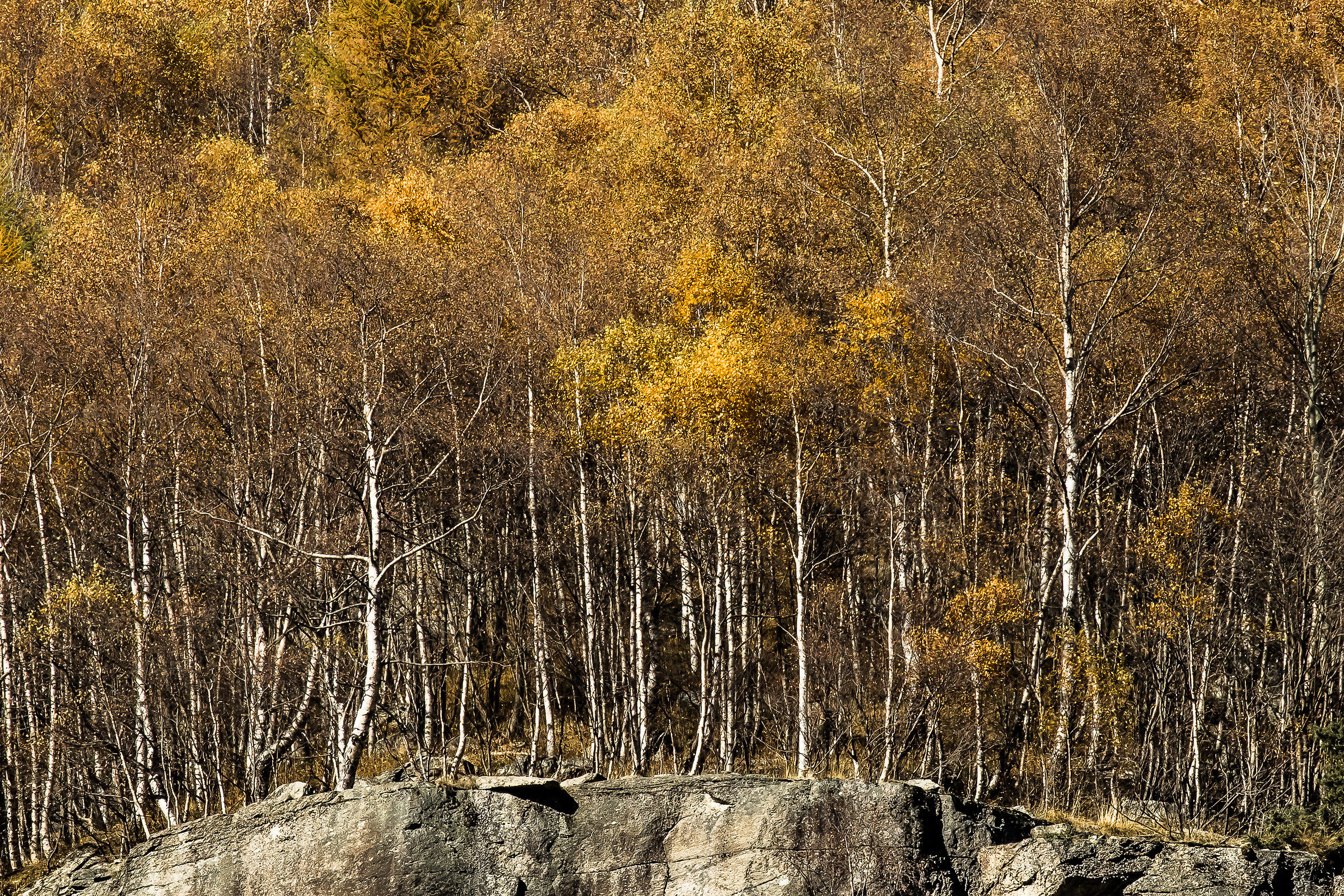 Autumn in Val Grande