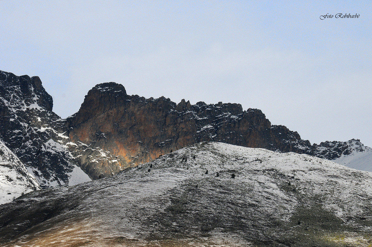 Spolveratina autunnale.....