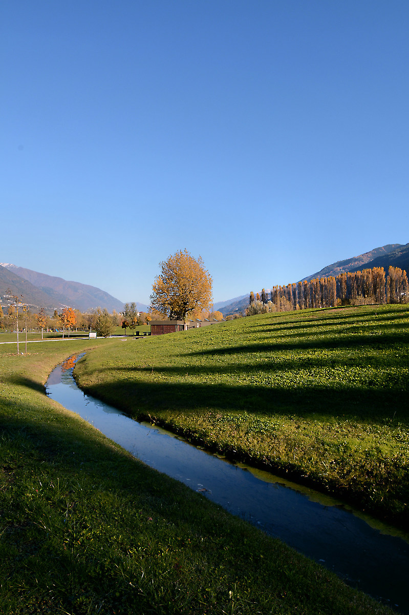 Ombre lunghe nel parco