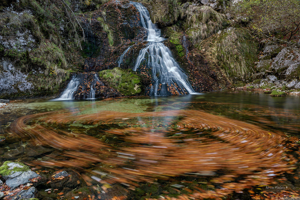 Hypnotic waltz autumn ...