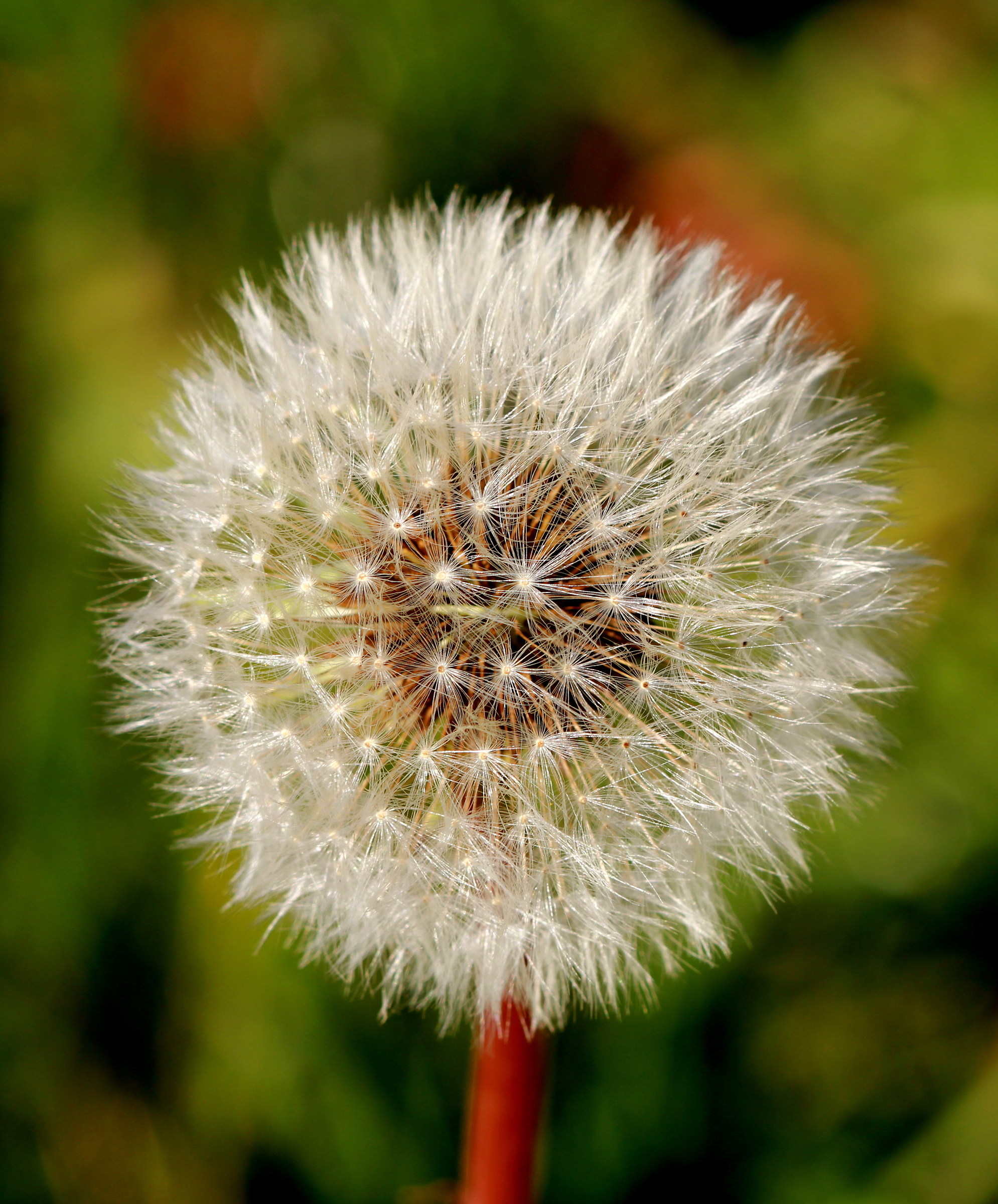 L'ultimo soffio prima del grande freddo