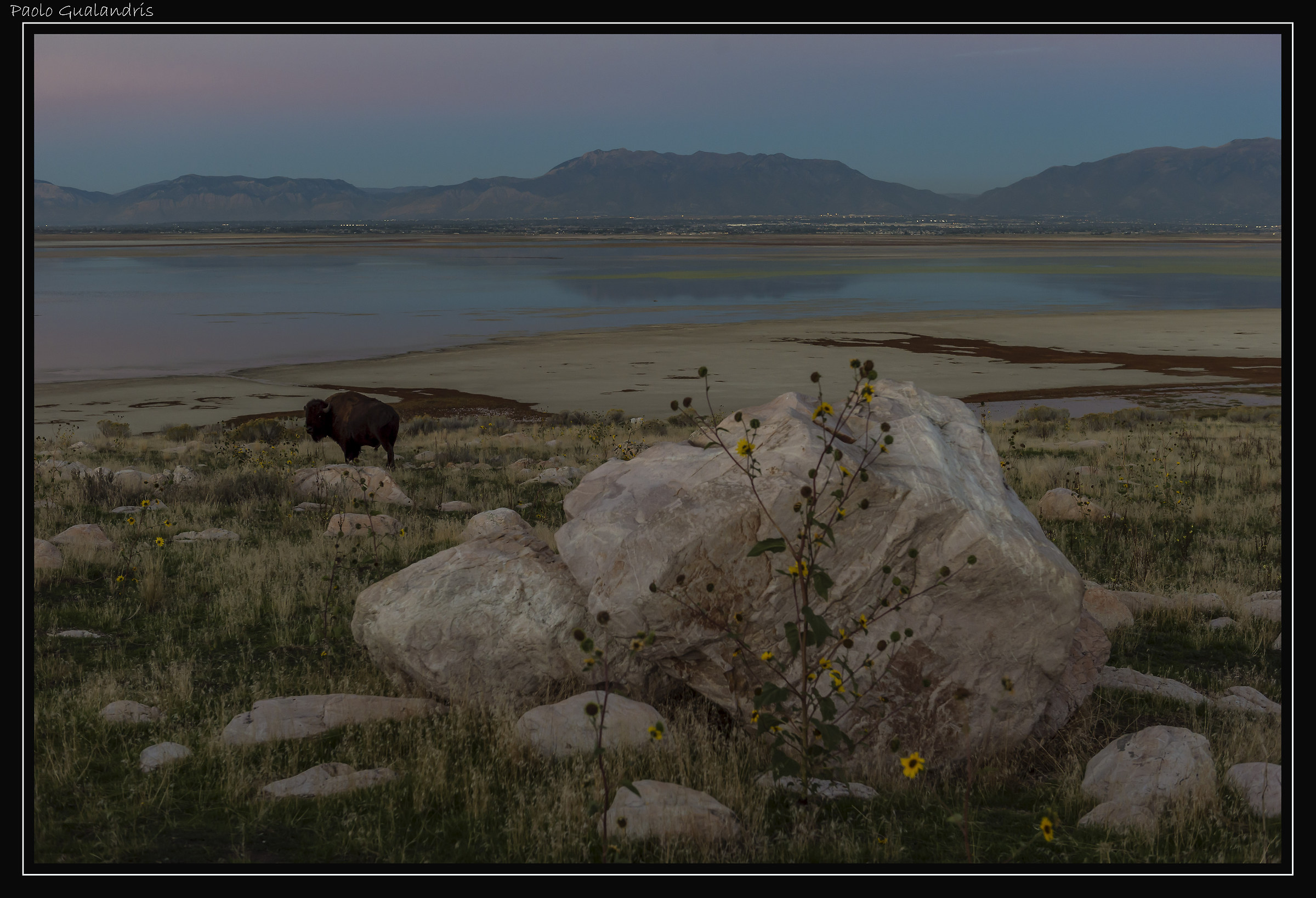 Antelope Island
