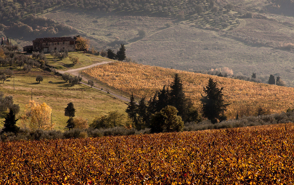 Il primo meriggio di novembre