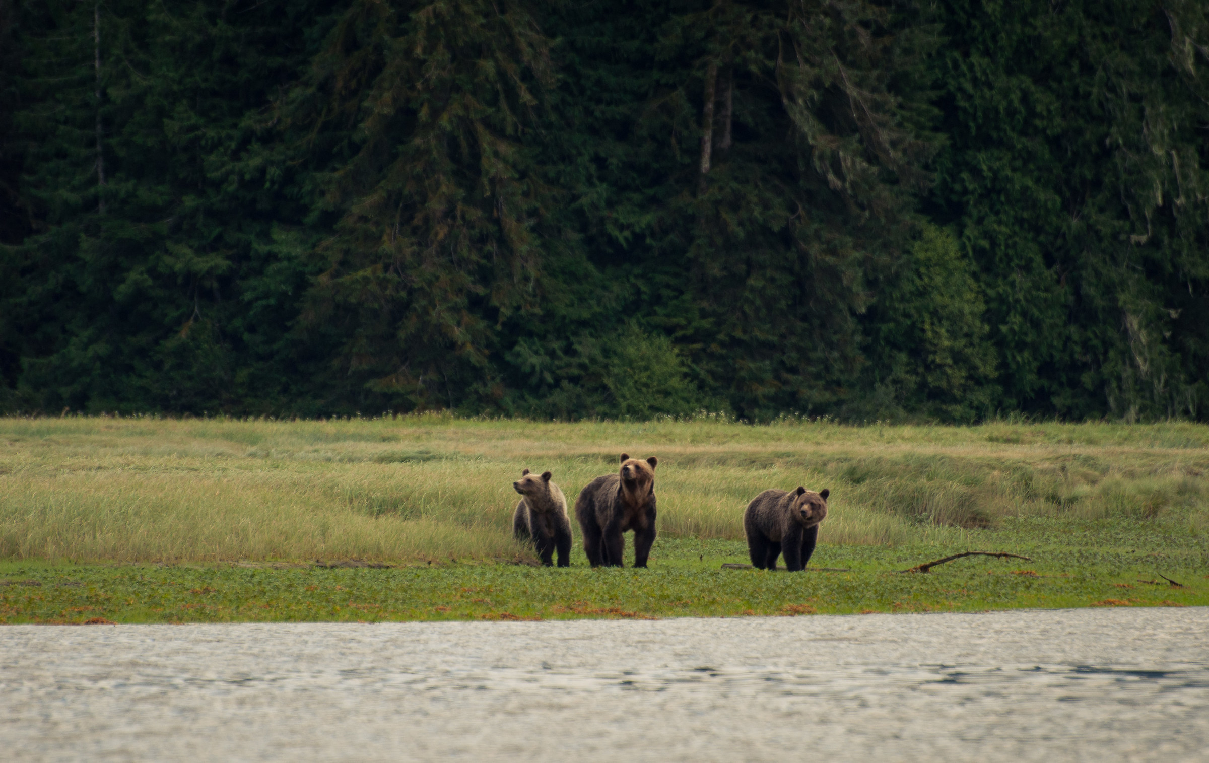 looking for someone?