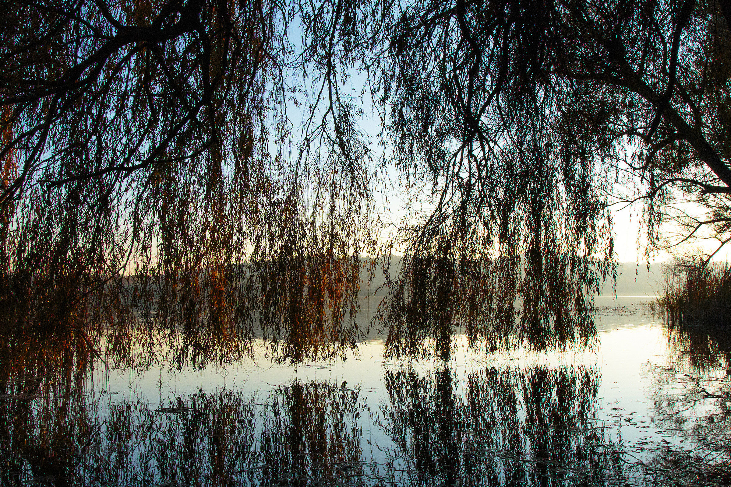 Autumn colors on the lake 2