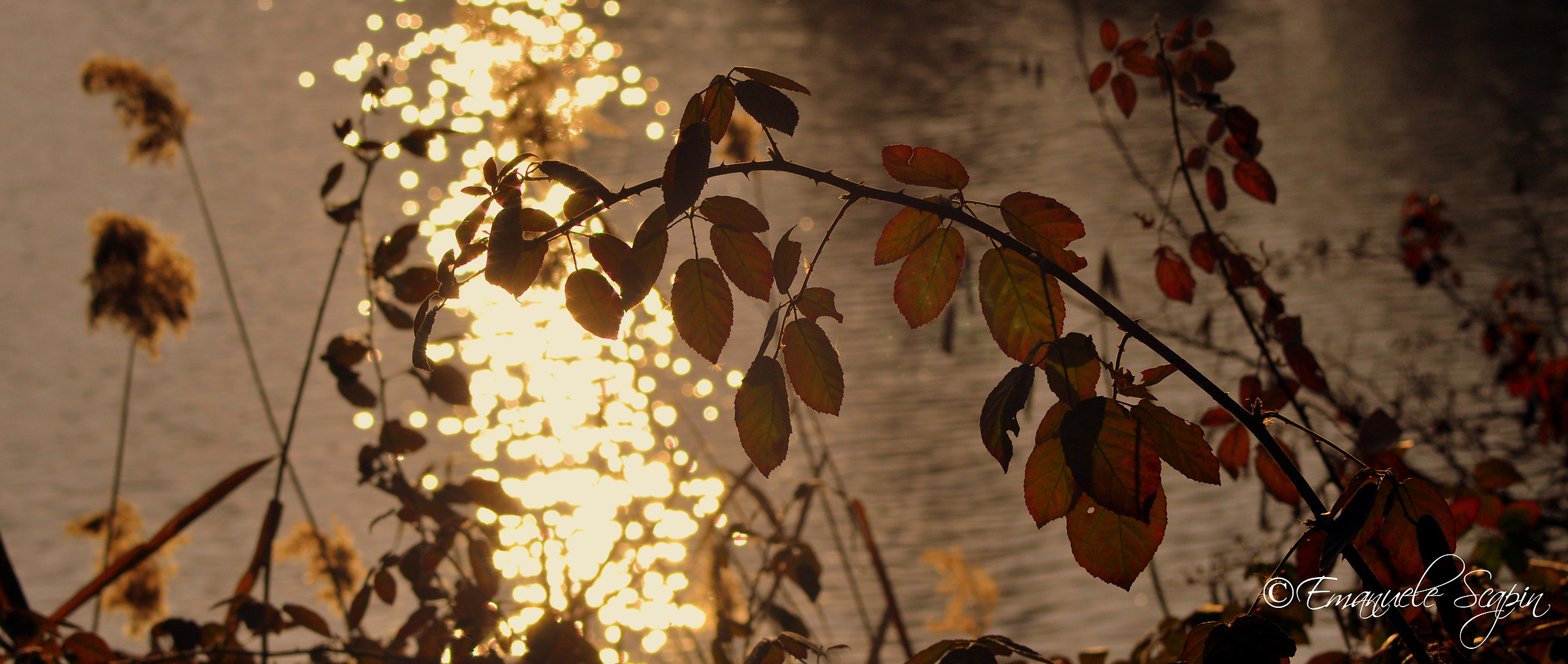 riflesso al tramonto