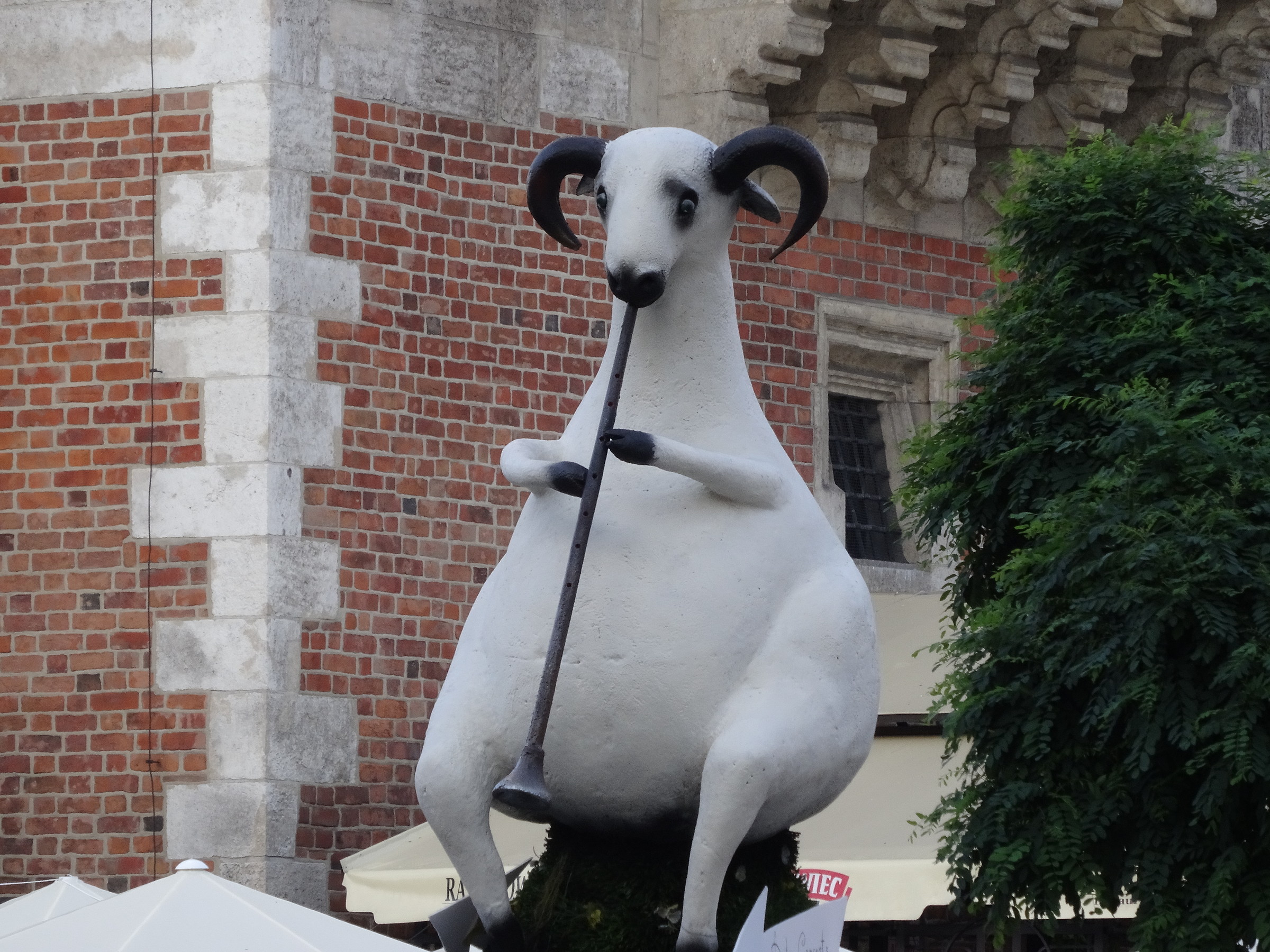 Walking around Krakow