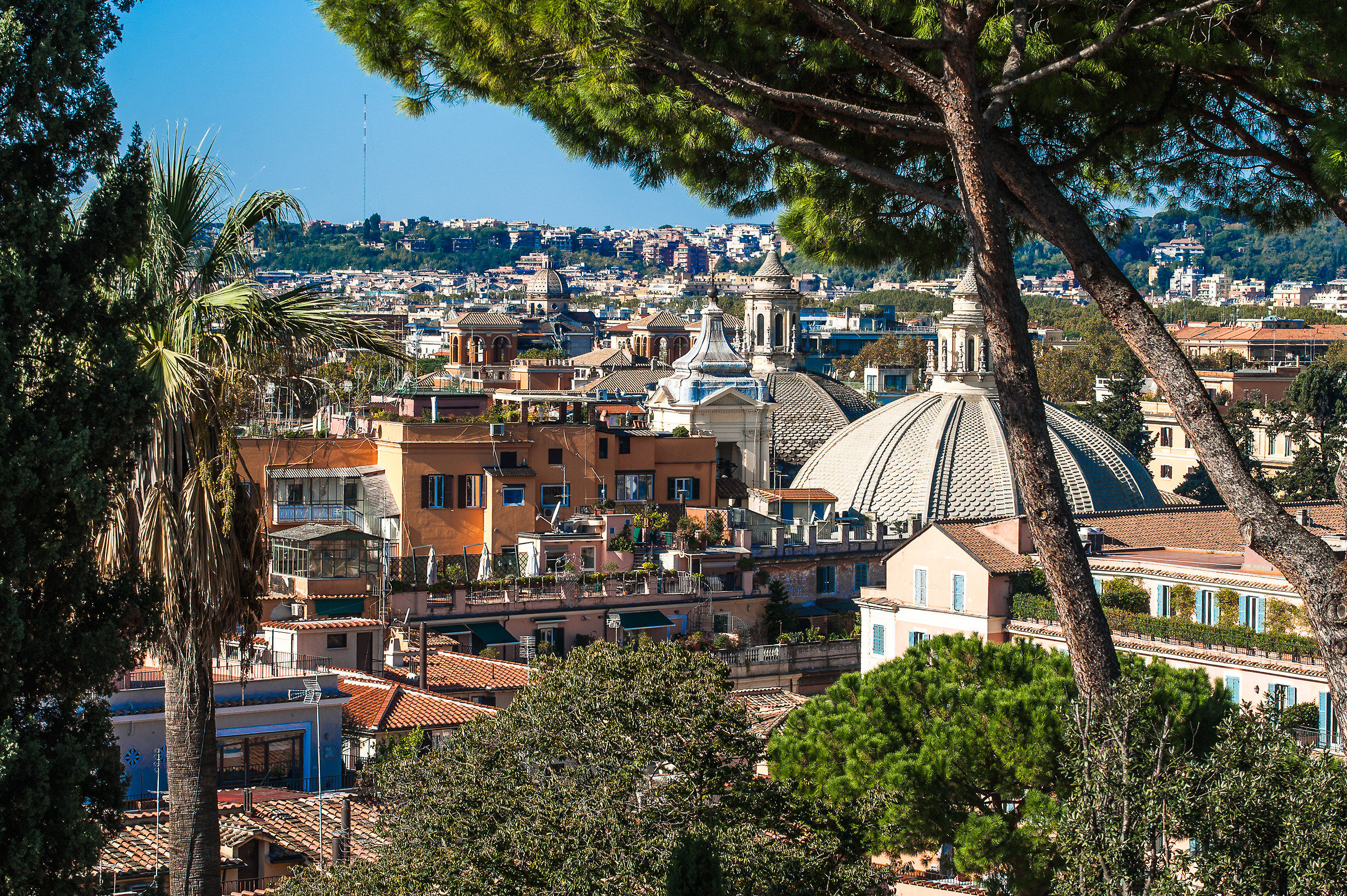 Tetti e Cupole di Roma dal Pincio