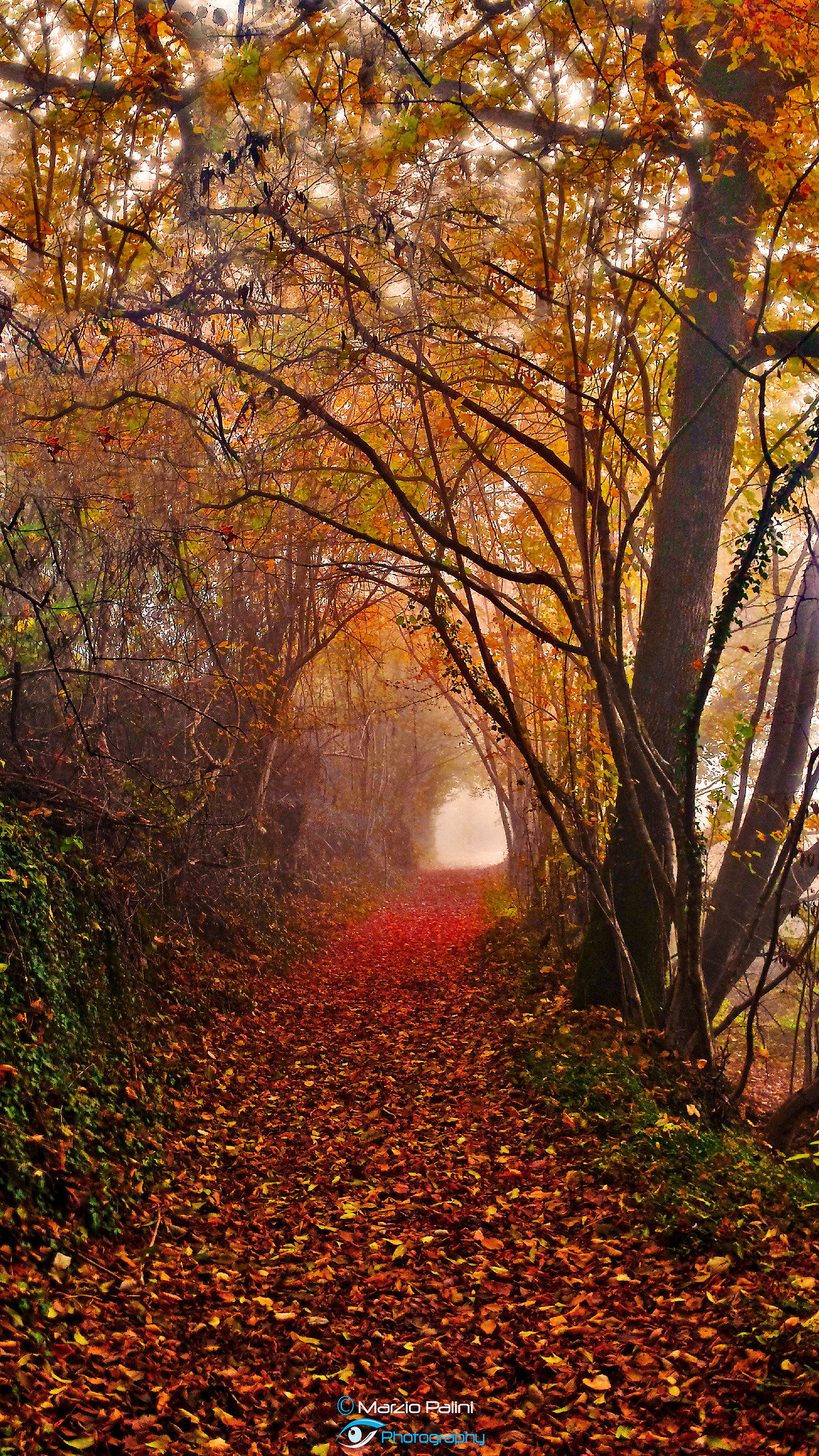 La luce in fondo al tunnel