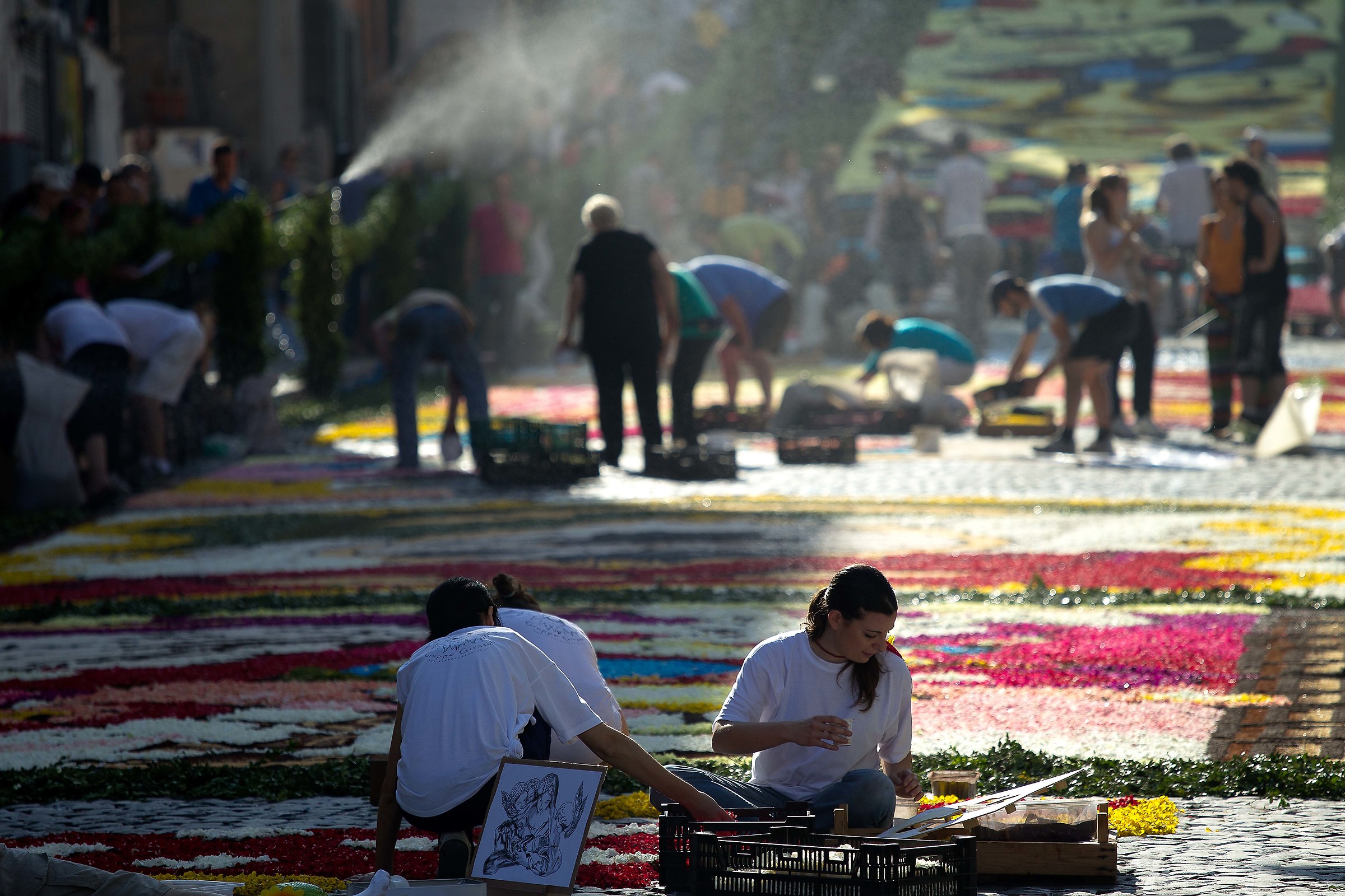 Flower Festival in Genzano