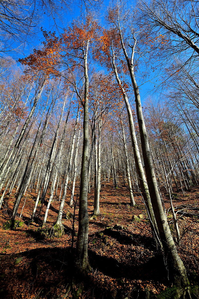 Winter is approaching