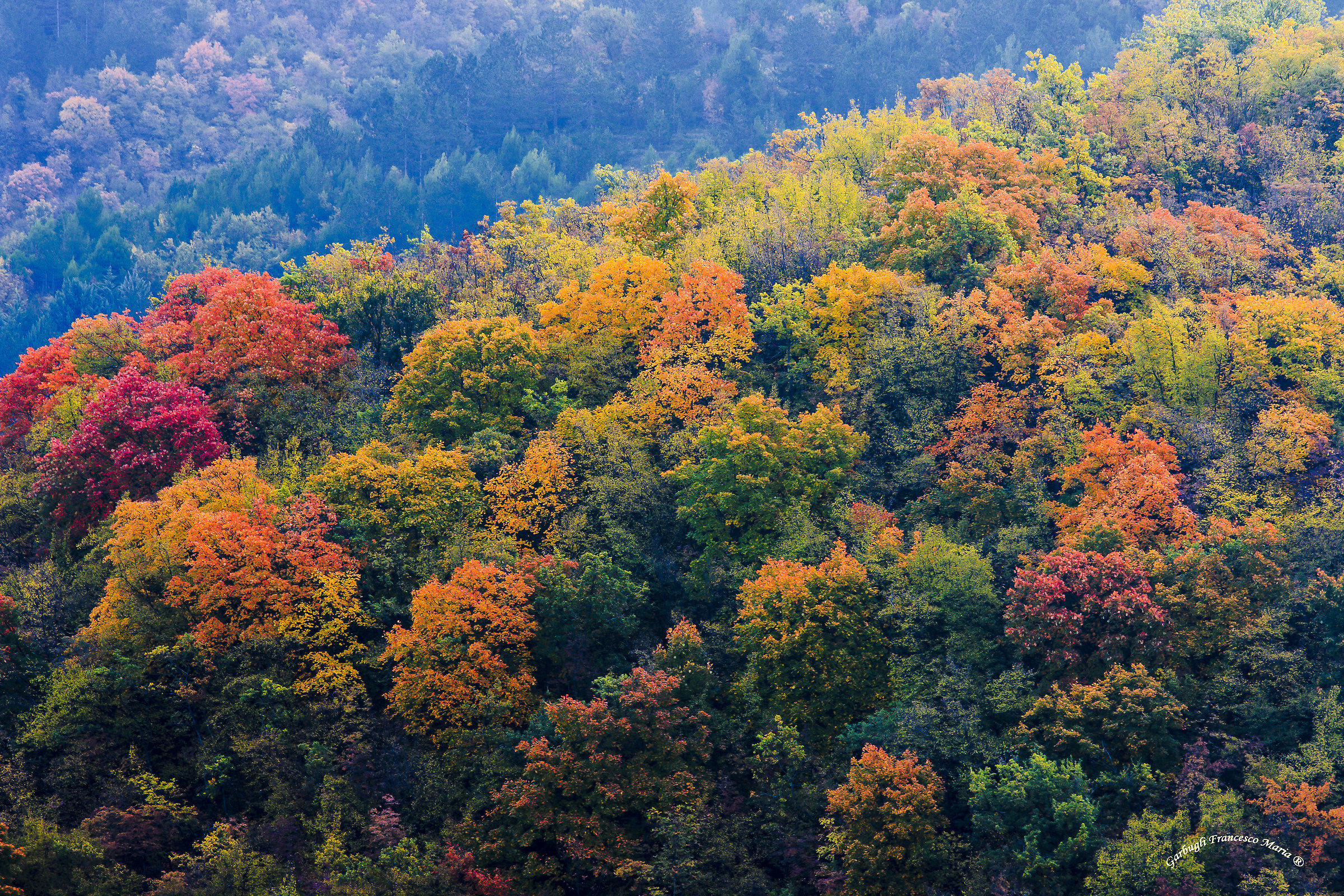 Colori d'autunno in Val Metauro 2