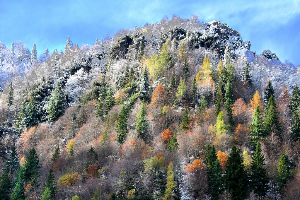 first snow on Mount Alben!