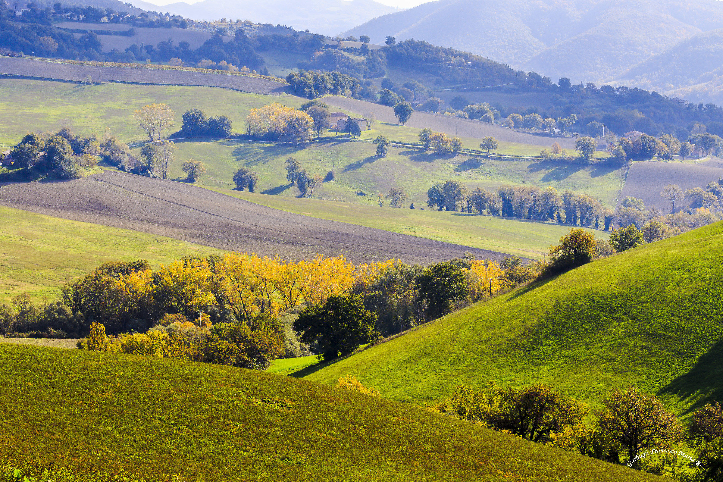 Colori d'autunno in Val Metauro 5