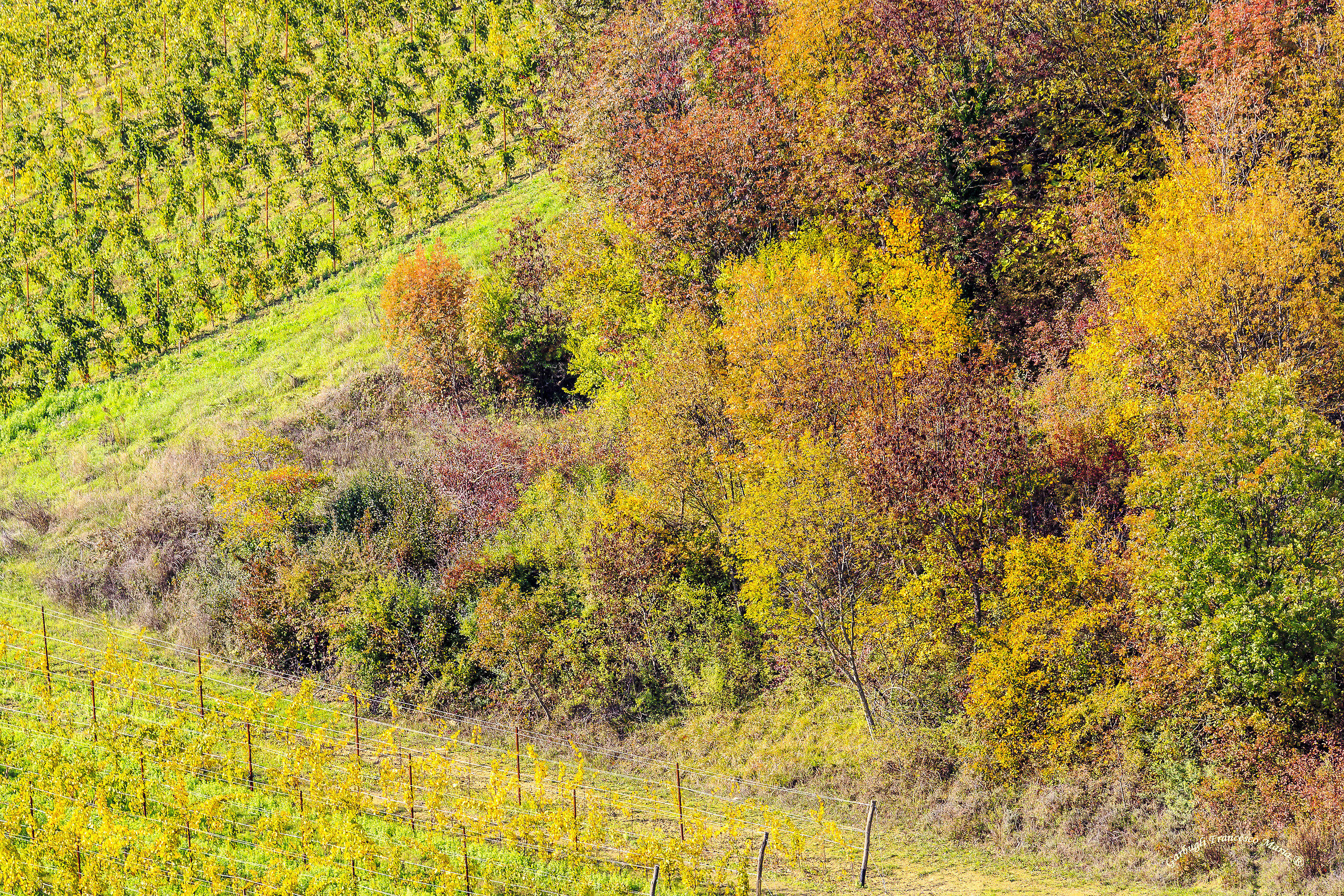 Colori d'autunno in Val Metauro 6