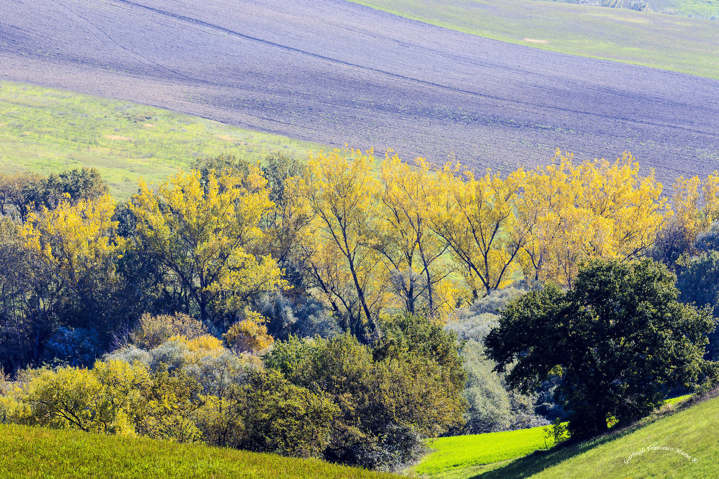Colori d'autunno in Val Metauro 7
