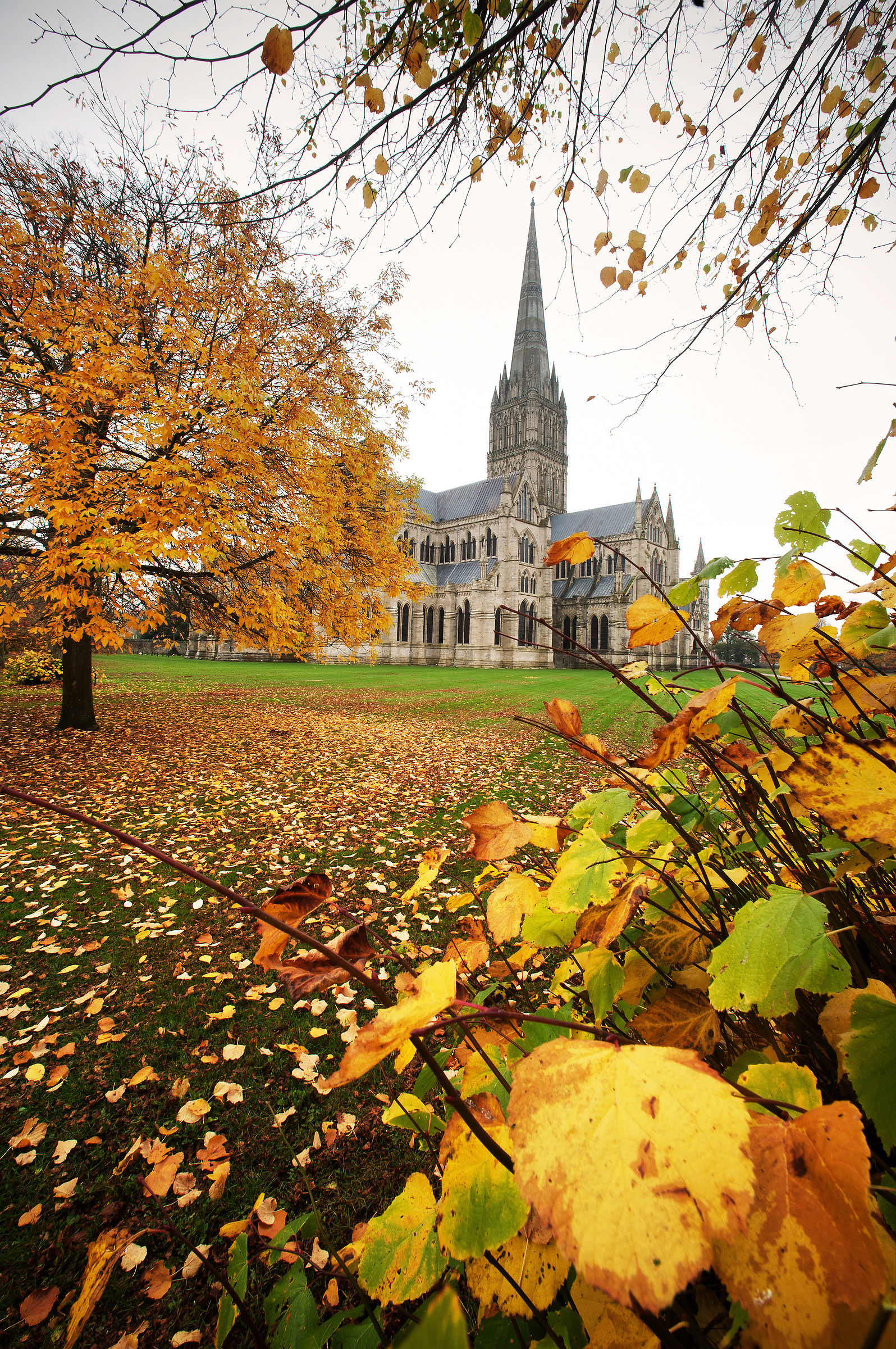 Cattedrale di Salisbury - da dietro le foglie autunnali