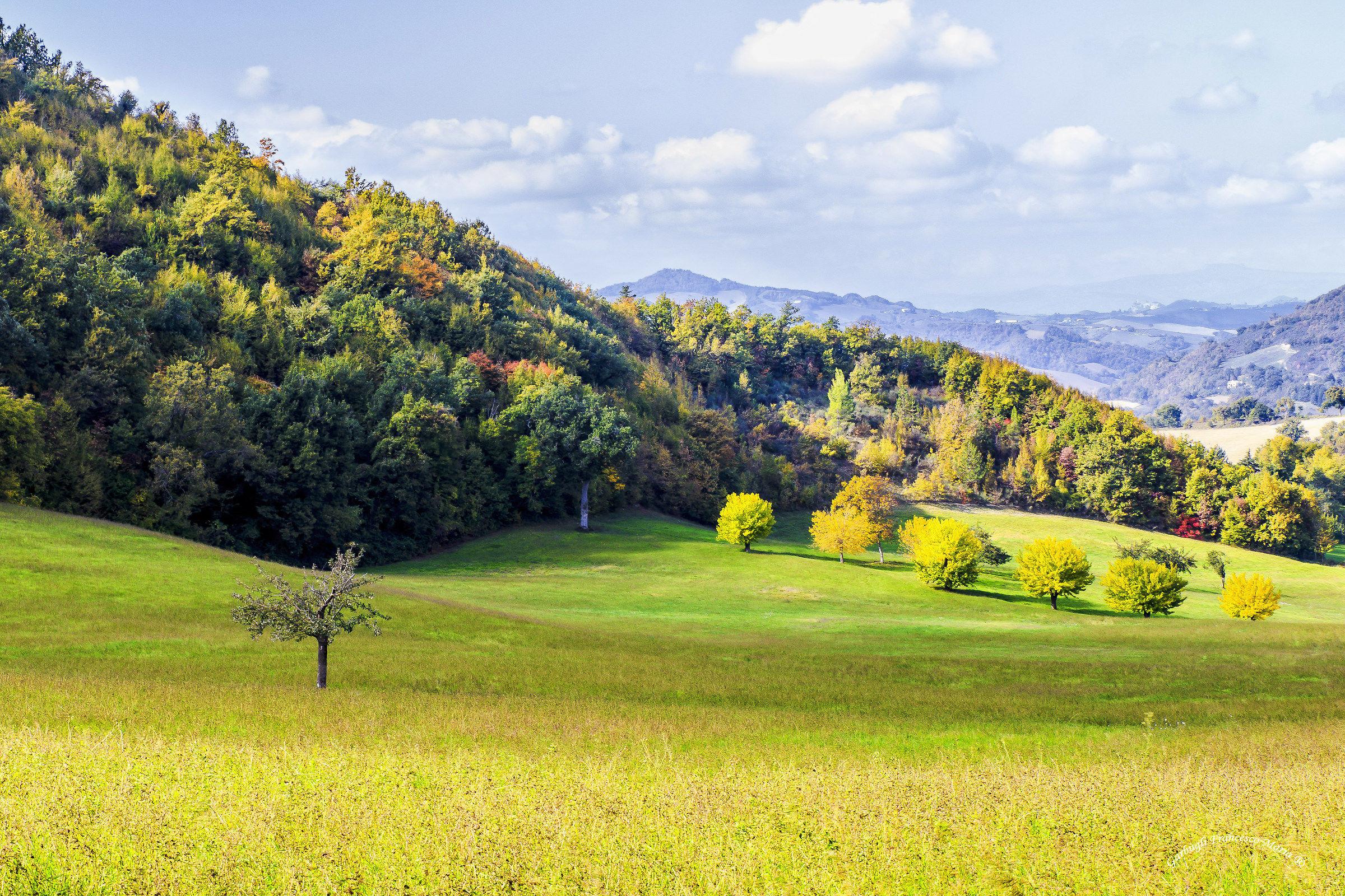 Colori d'autunno in Val Metauro 10