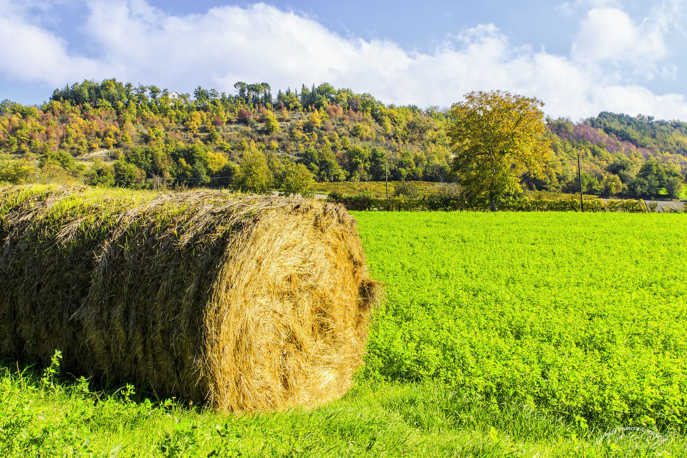 Colori d'autunno in Val Metauro 12