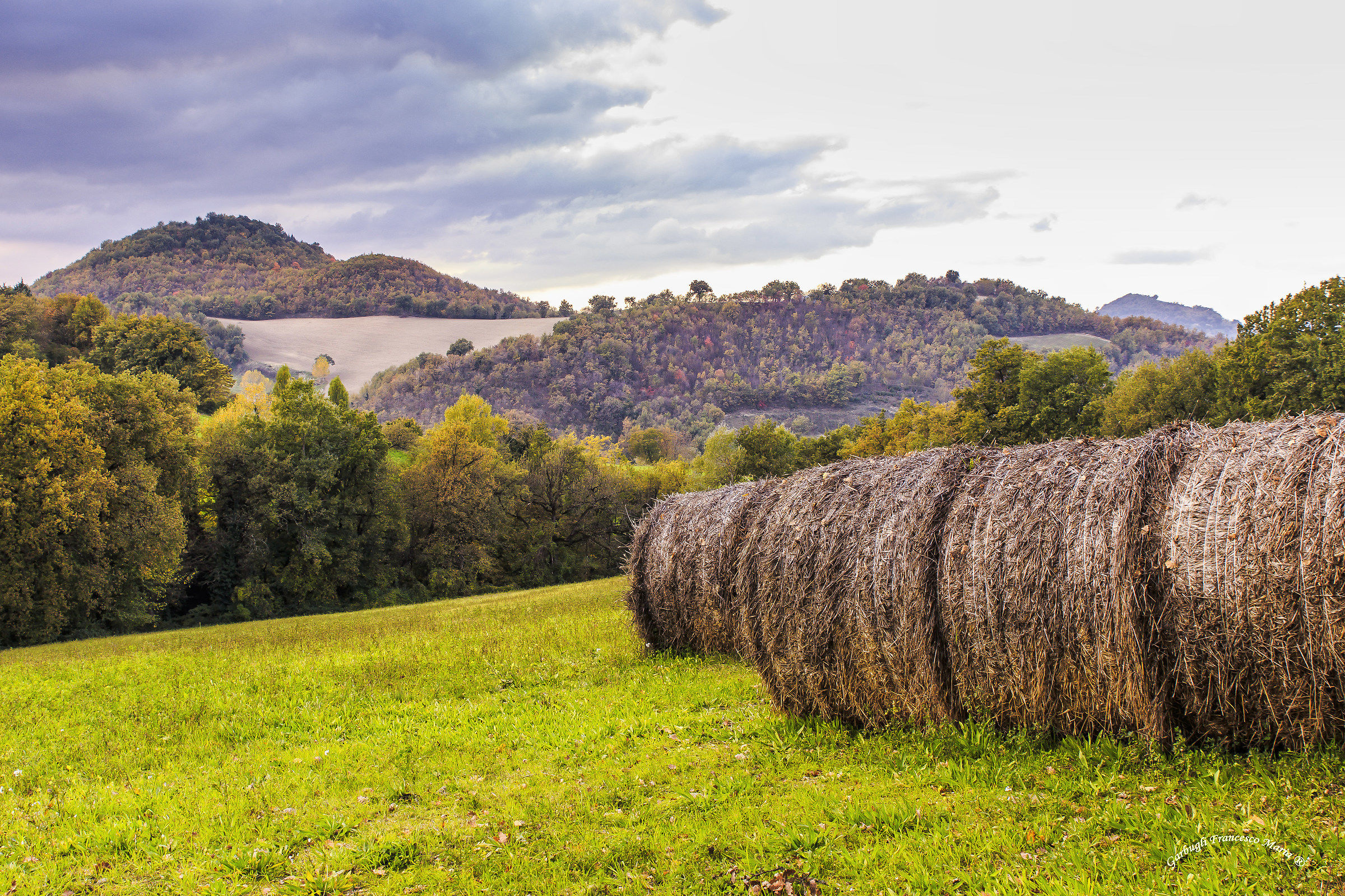 Colori d'autunno in Val Metauro 14