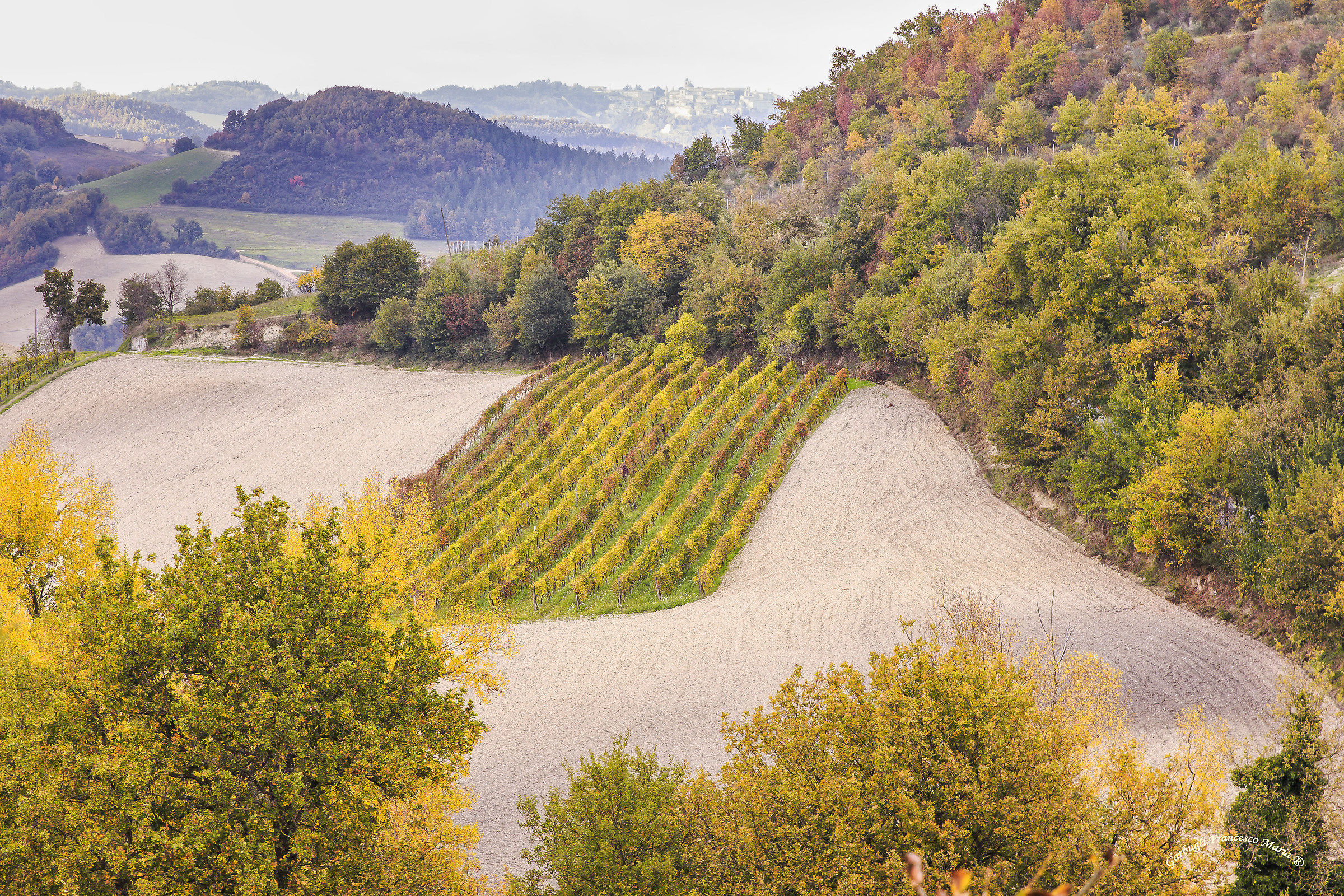 Autumn colors in Val Metauro 15