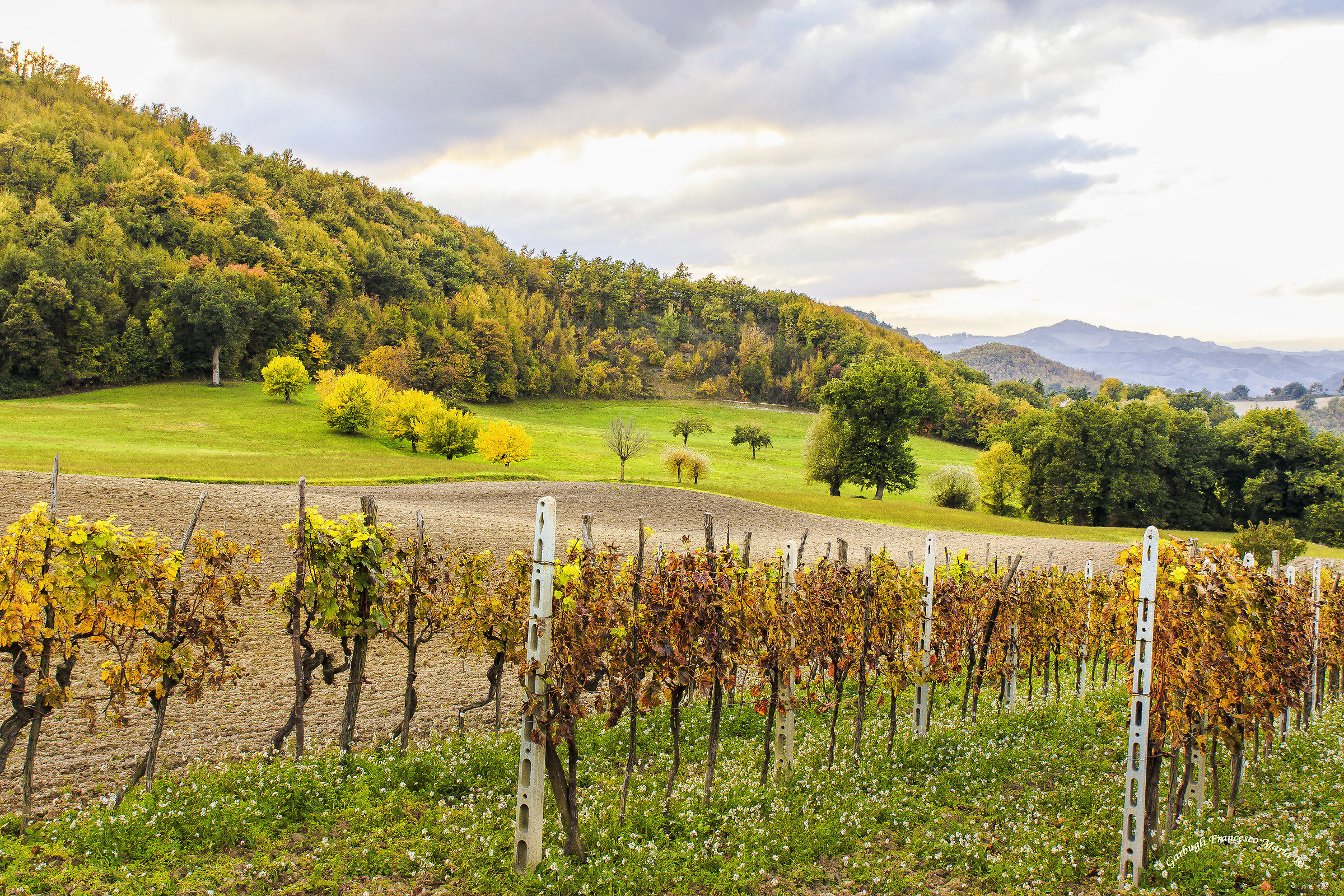 Colori d'autunno in Val Metauro 16