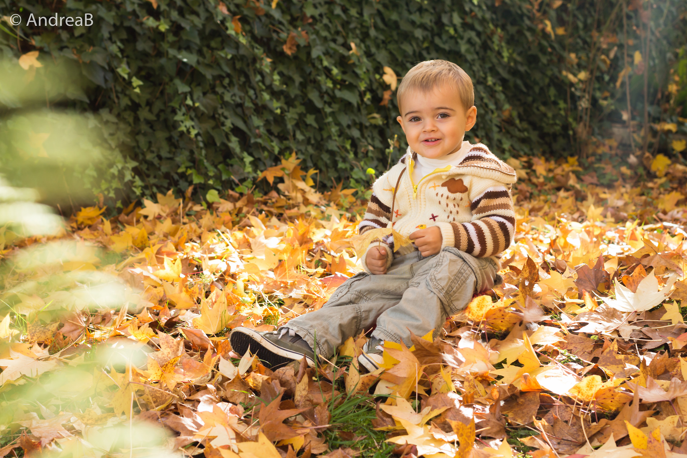 between autumn leaves