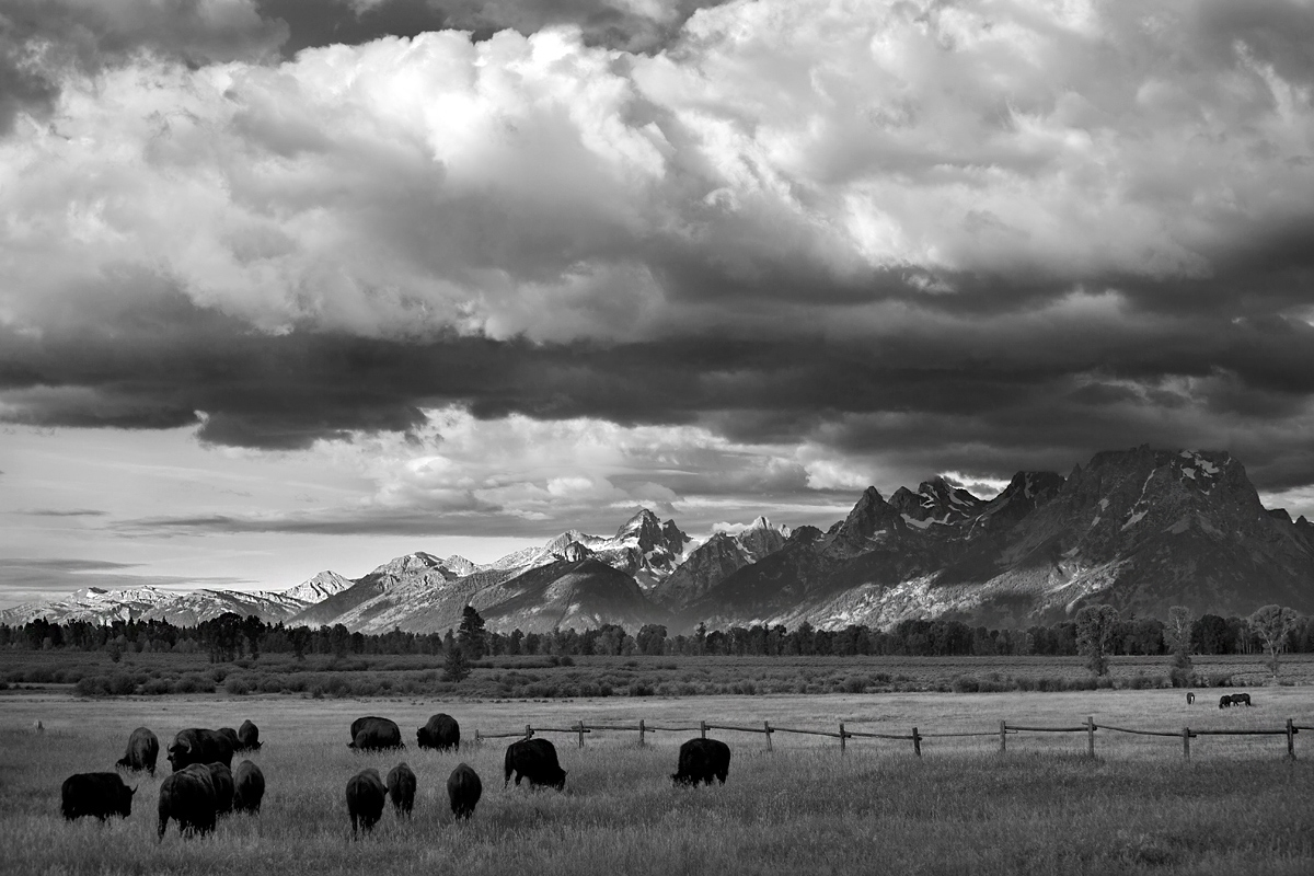 Grand Teton Natinal Park