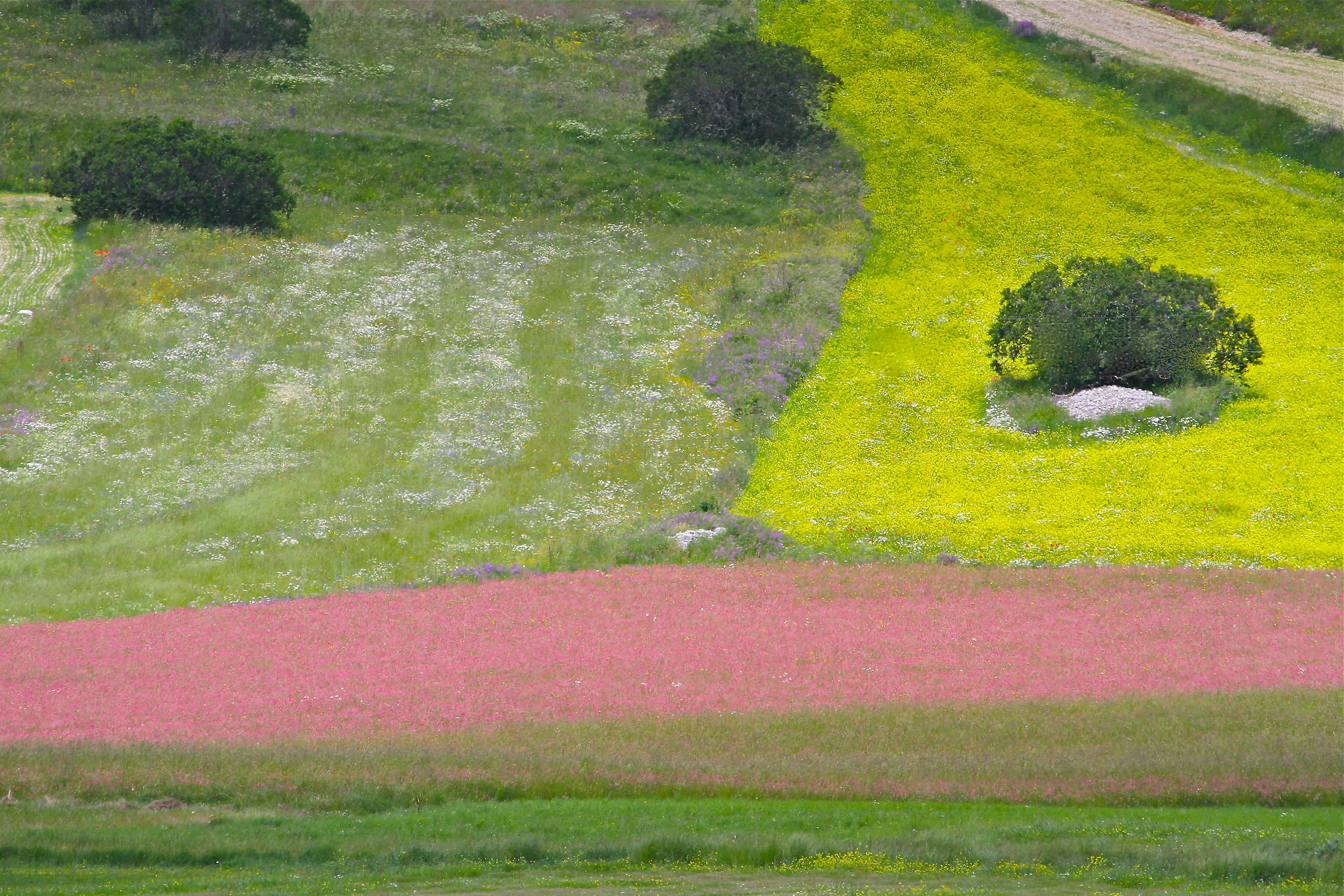 A palette of colors in Piangrande