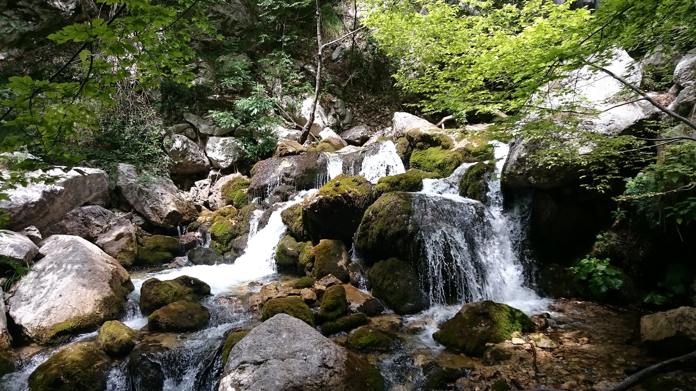 Capofiume Trisulti FR