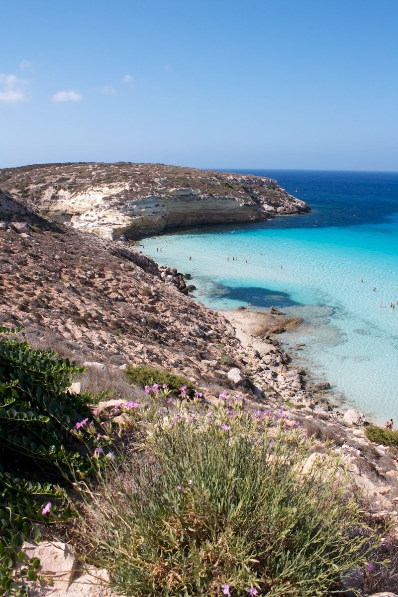 Rabbit Island 3 - Lampedusa
