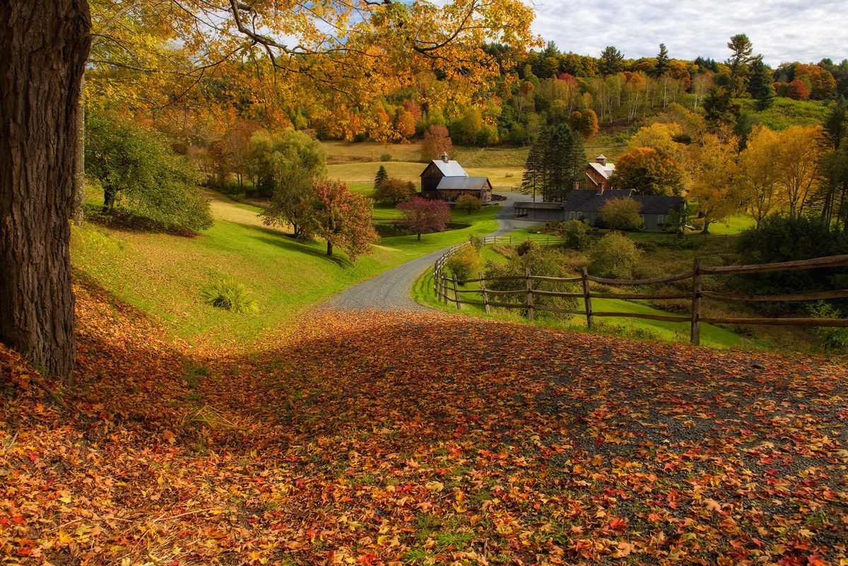Vermont Farm