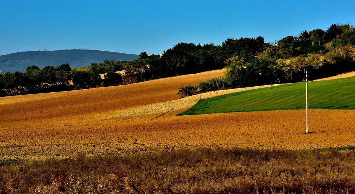 panorama dalla pompa di benzina 2