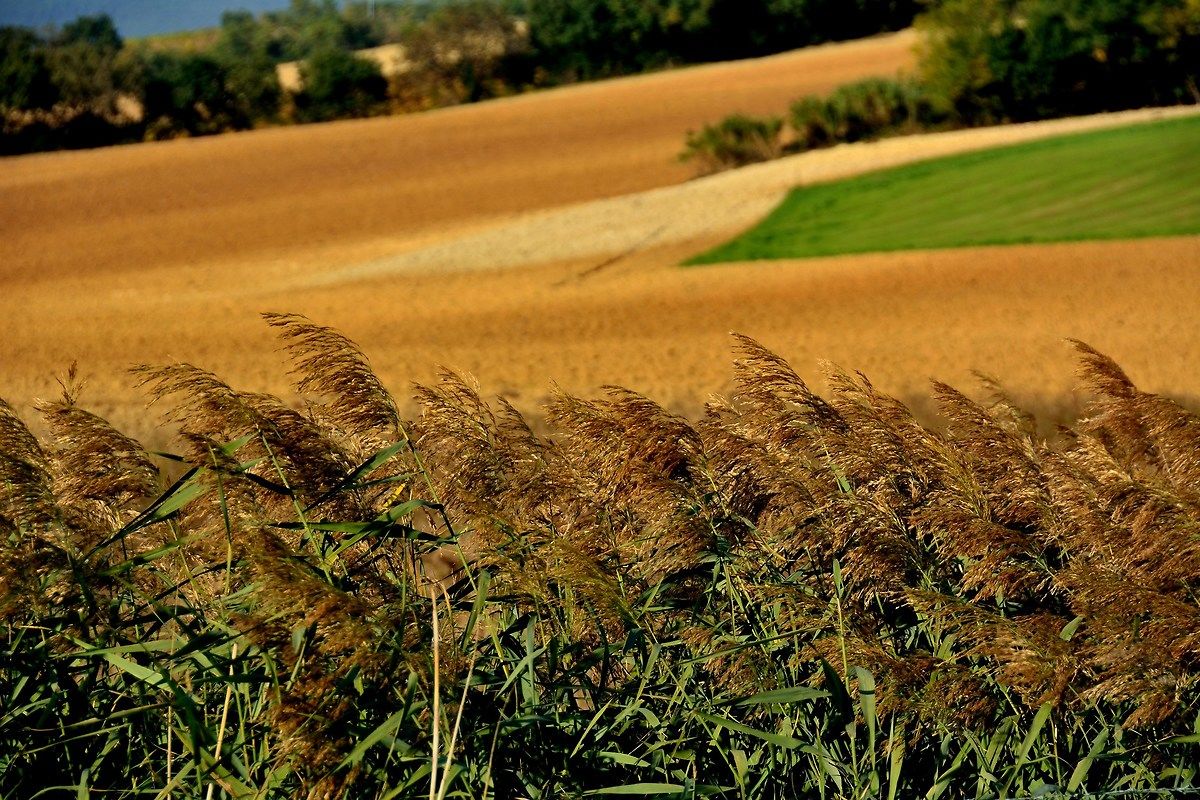 panorama dalla pompa di benzina 3