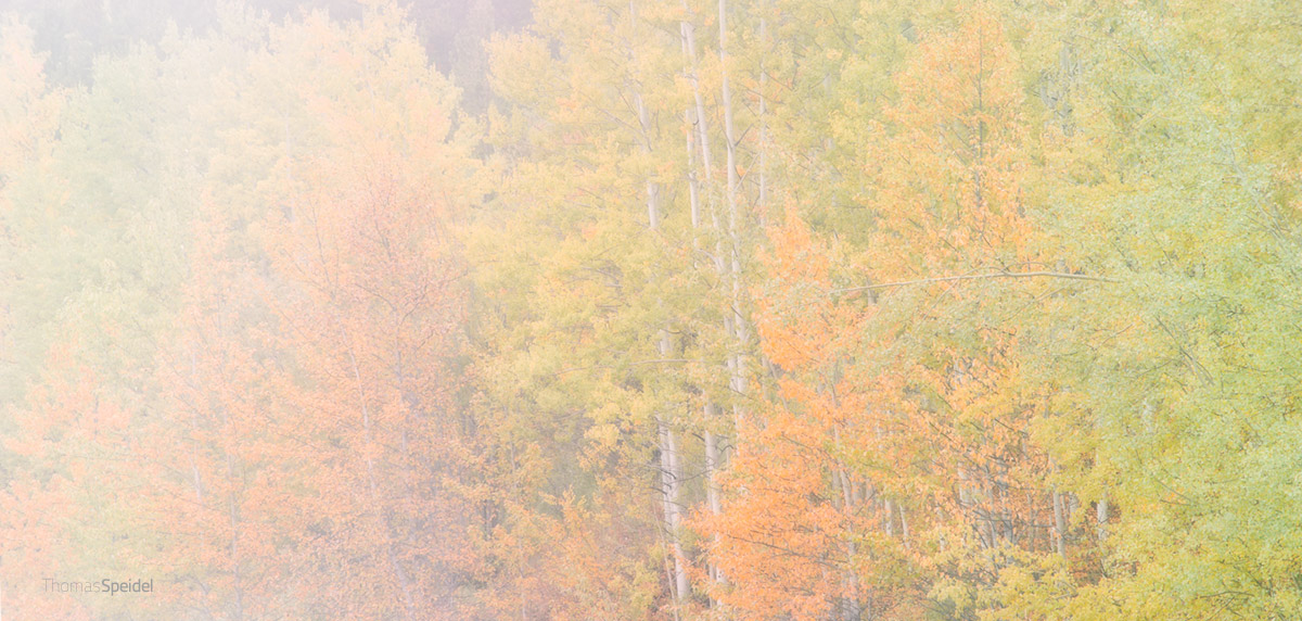 Prima luce autunnale