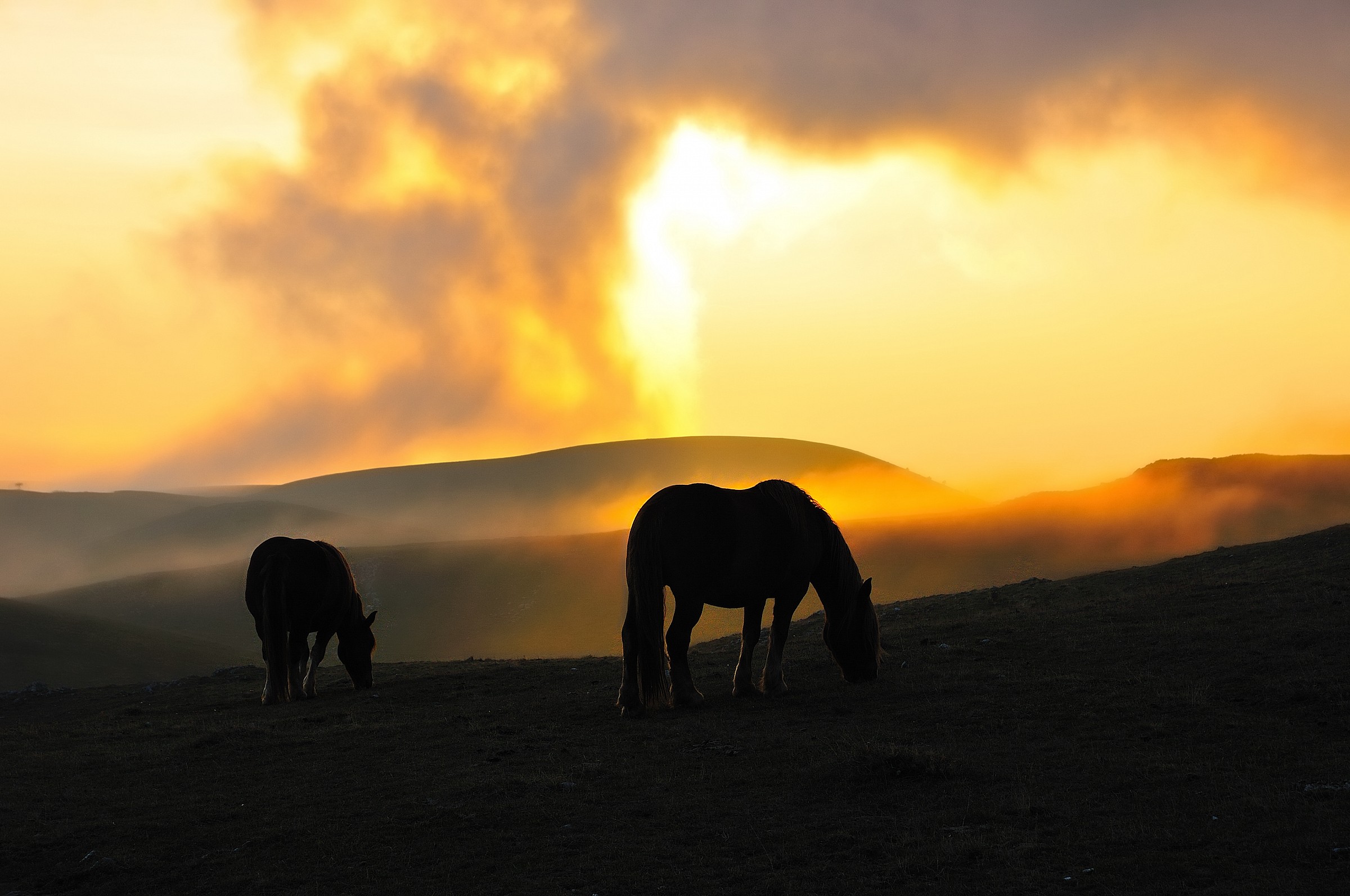 cavalli. Salendo verso Campo Imperatore